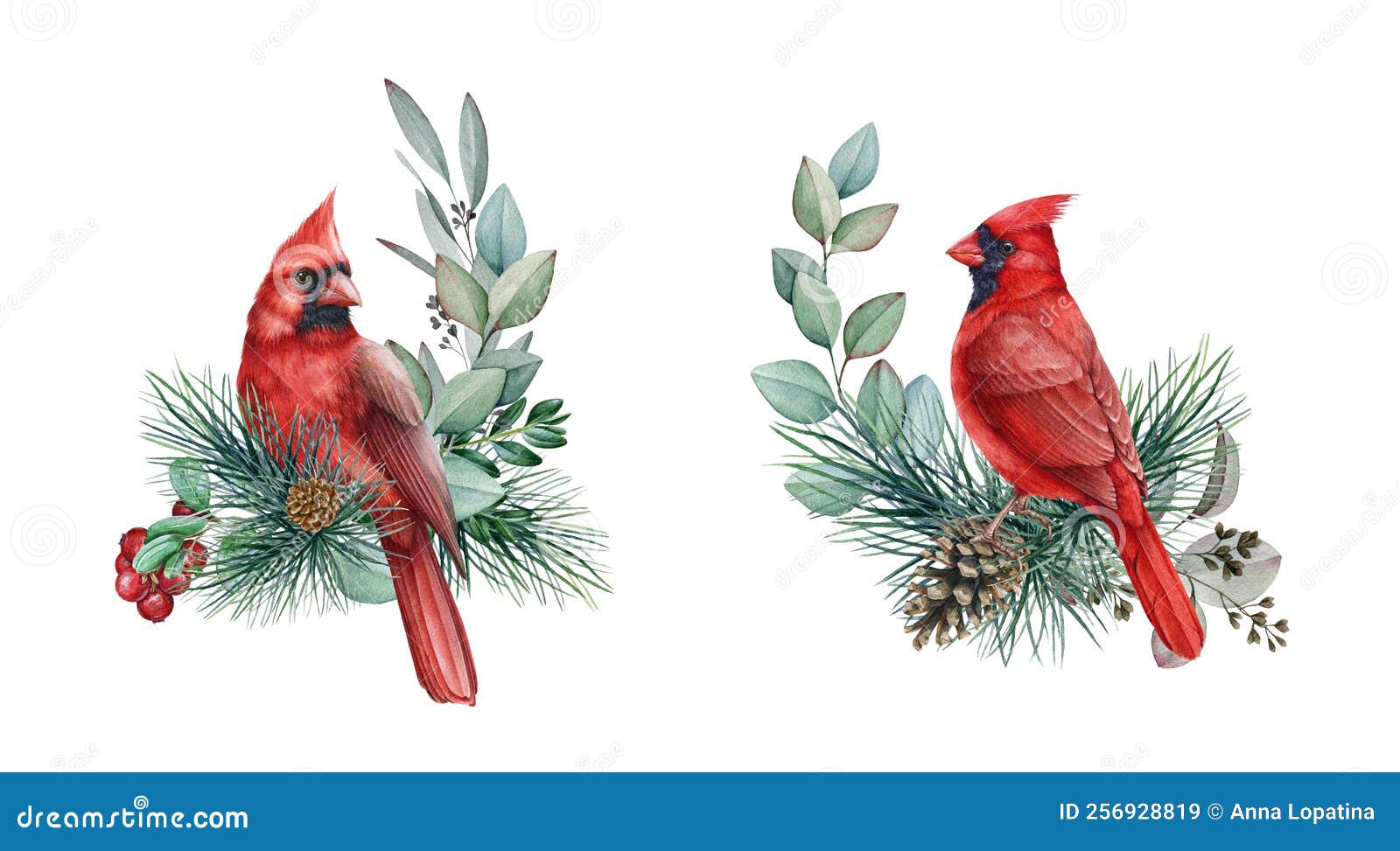 Colorear Búho dibujo realista Aves dibujo para colorear gratis