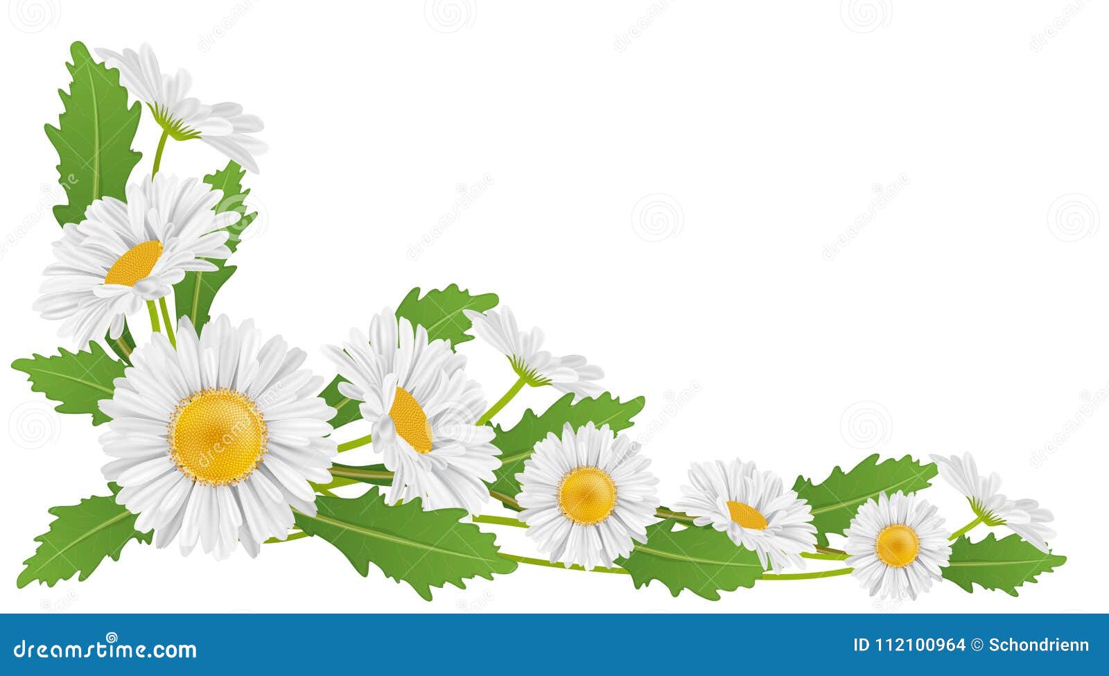 Decoración De La Esquina Con La Flor Y La Hoja De La Margarita Blanca Ilustración del Vector - Ilustración de resorte, ramo: 112100964 Decoración De La Esquina Con La Flor Y La Hoja De La Margarita Blanca Ilustración del Vector - Ilustración de resorte, ramo: 112100964