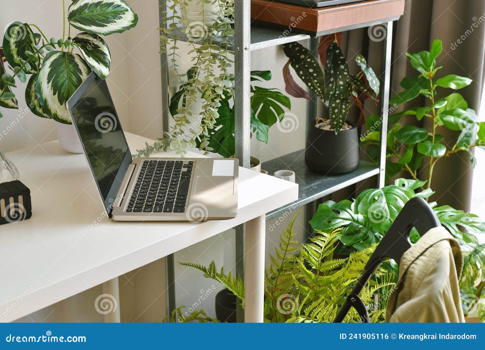 Decoración De Oficina En Casa Con Plantas De árboles De Naturaleza Verde  Espacio De Trabajo Y Ordenador Portátil En Escritorio Pla Foto de archivo -  Imagen de independiente, filodendro: 241905116