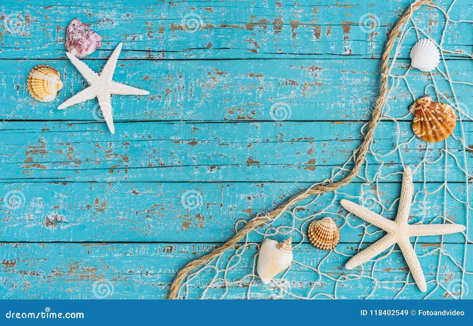 Conchas Marinas Y Estrellas De Mar Para Decoración