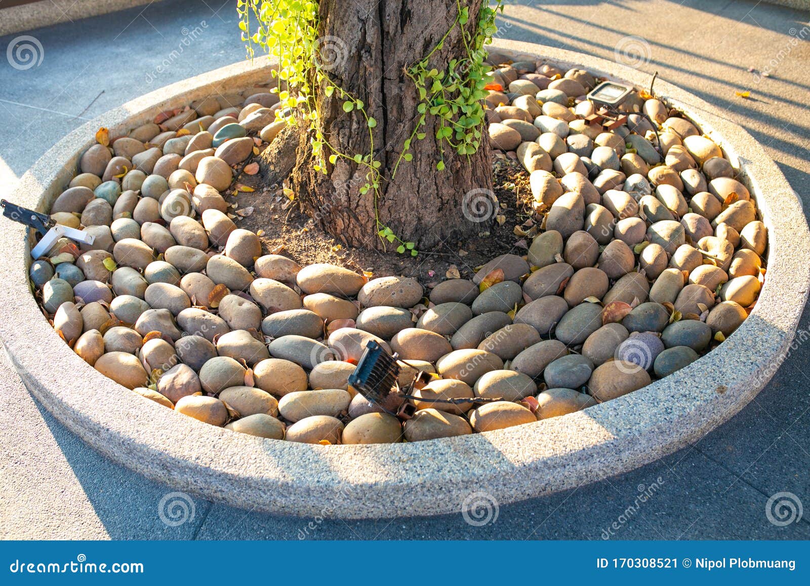 Decoración Roca Alrededor De Un árbol En El Jardín En Casa Imagen de  archivo - Imagen de roca, recorrido: 170308521