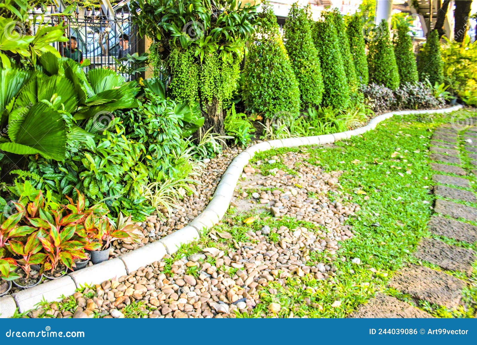 Decorate the Trees Along the Sidewalks. Stock Photo Image of cement