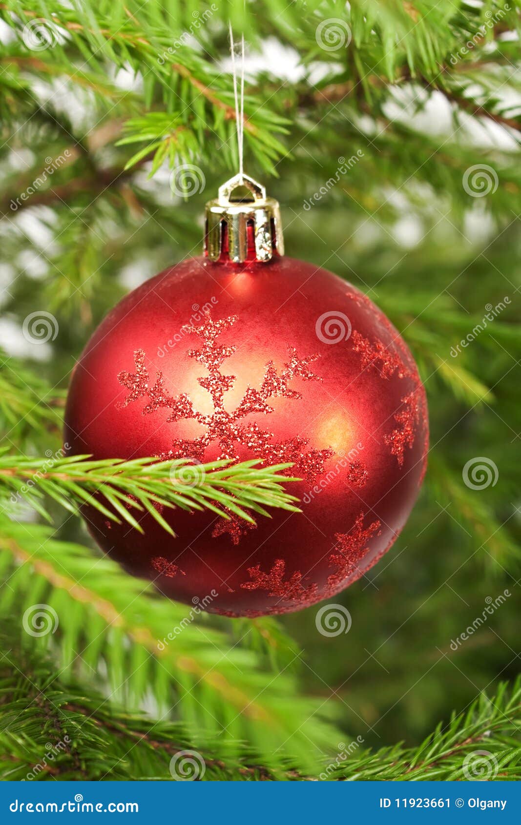 Decorated Branch of Christmas Tree Stock Image Image of decoration, adorn 11923661