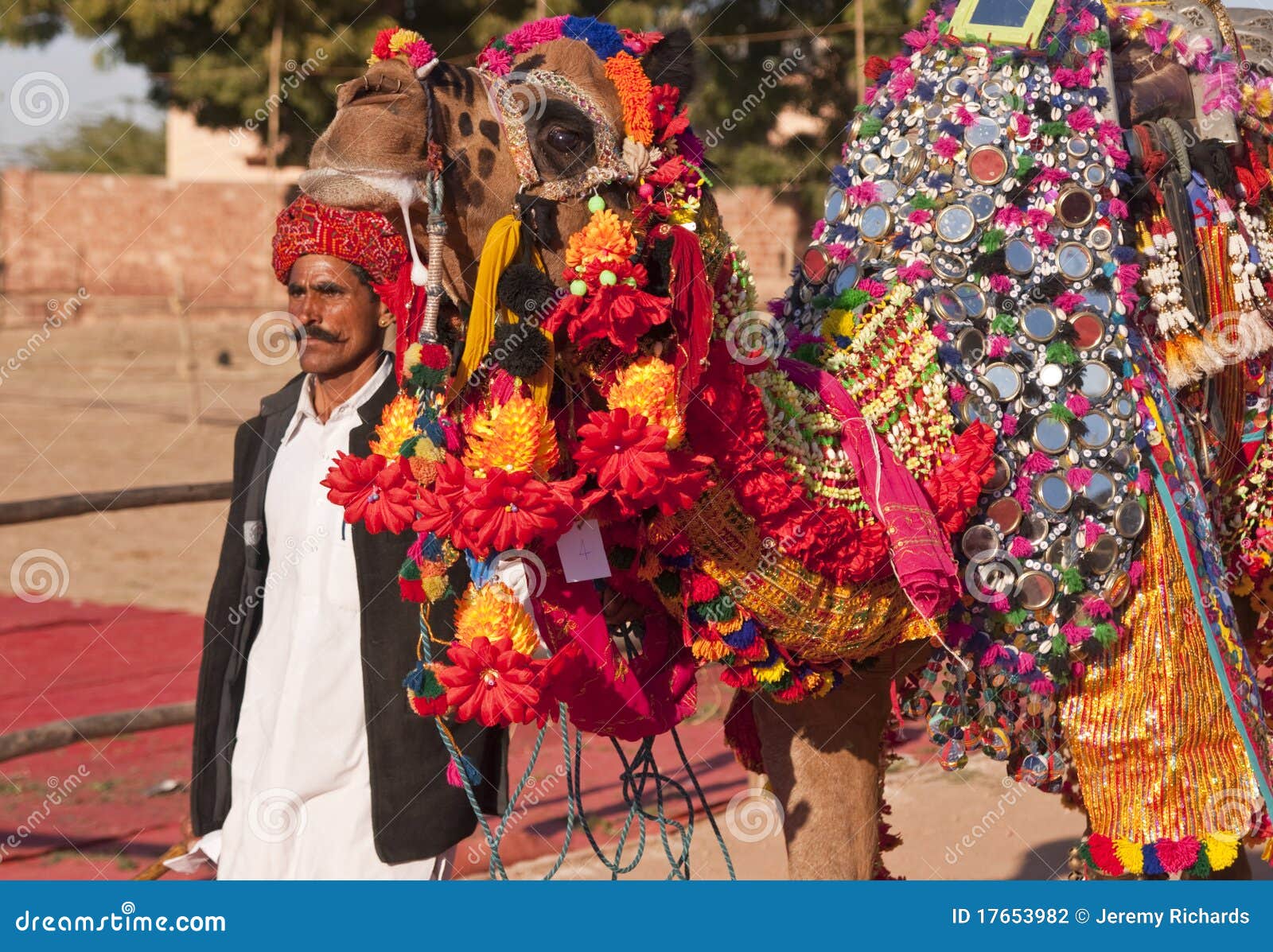 Decorated Camel editorial photography. Image of nagaur 17653982