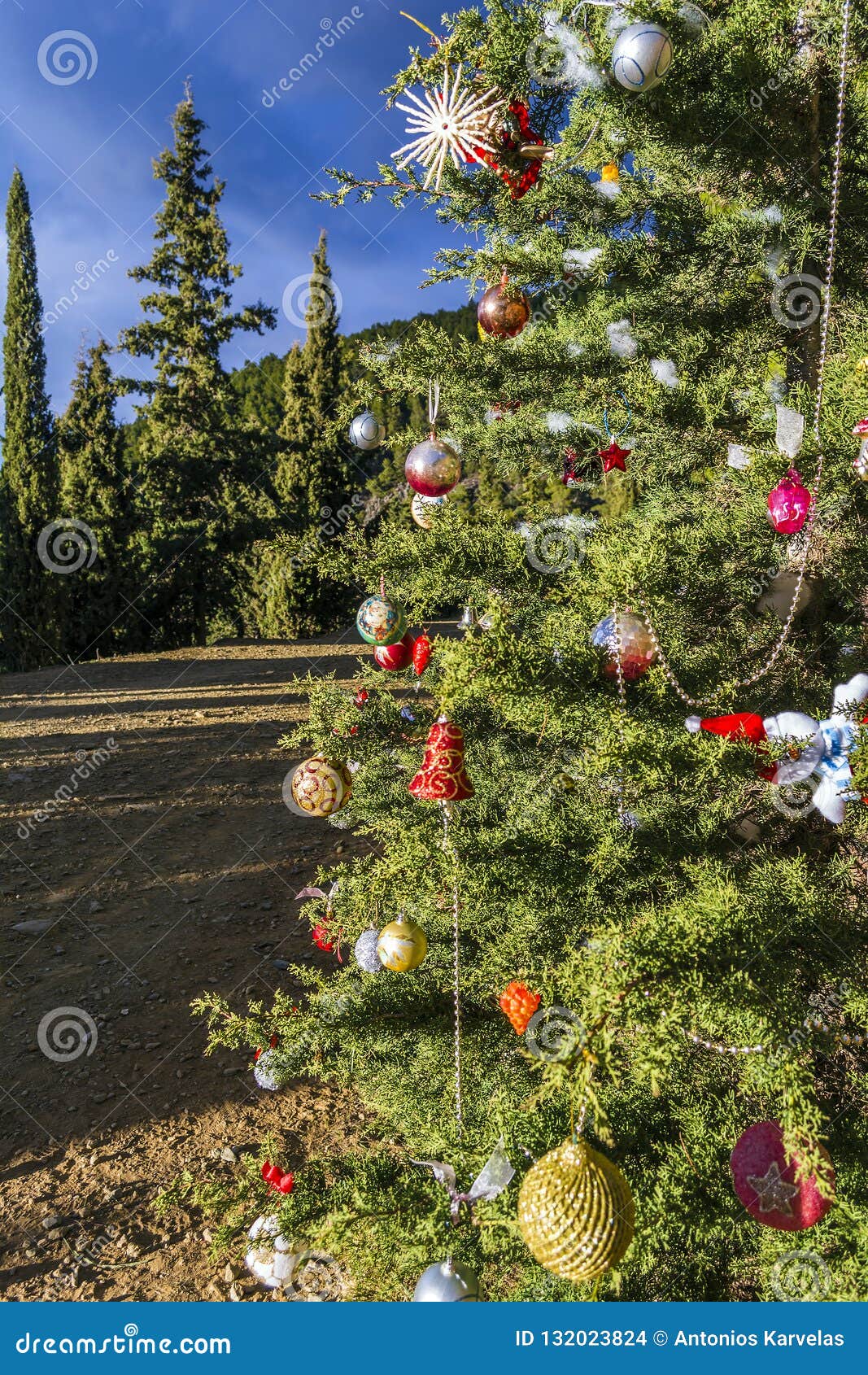 Decorated Christmas Tree in the Forest Stock Photo Image of evergreen
