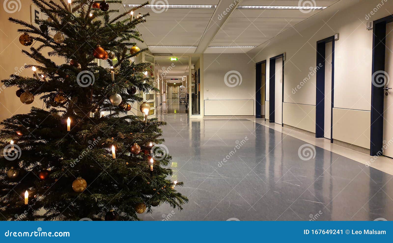 Decorated Christmas Tree in the Hallway of the Hospital Stock Image