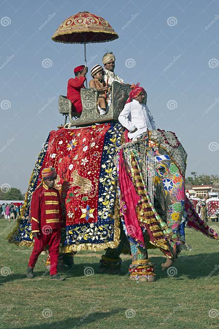 Decorated Elephant and Passengers. Jaipur, Rajasthan, India. Editorial ...