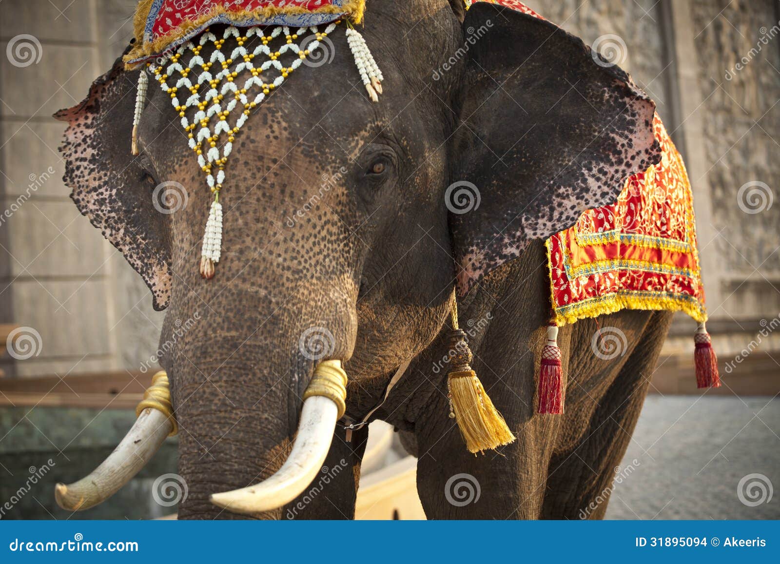 Decorated elephant stock photo. Image of people, decoration - 31895094