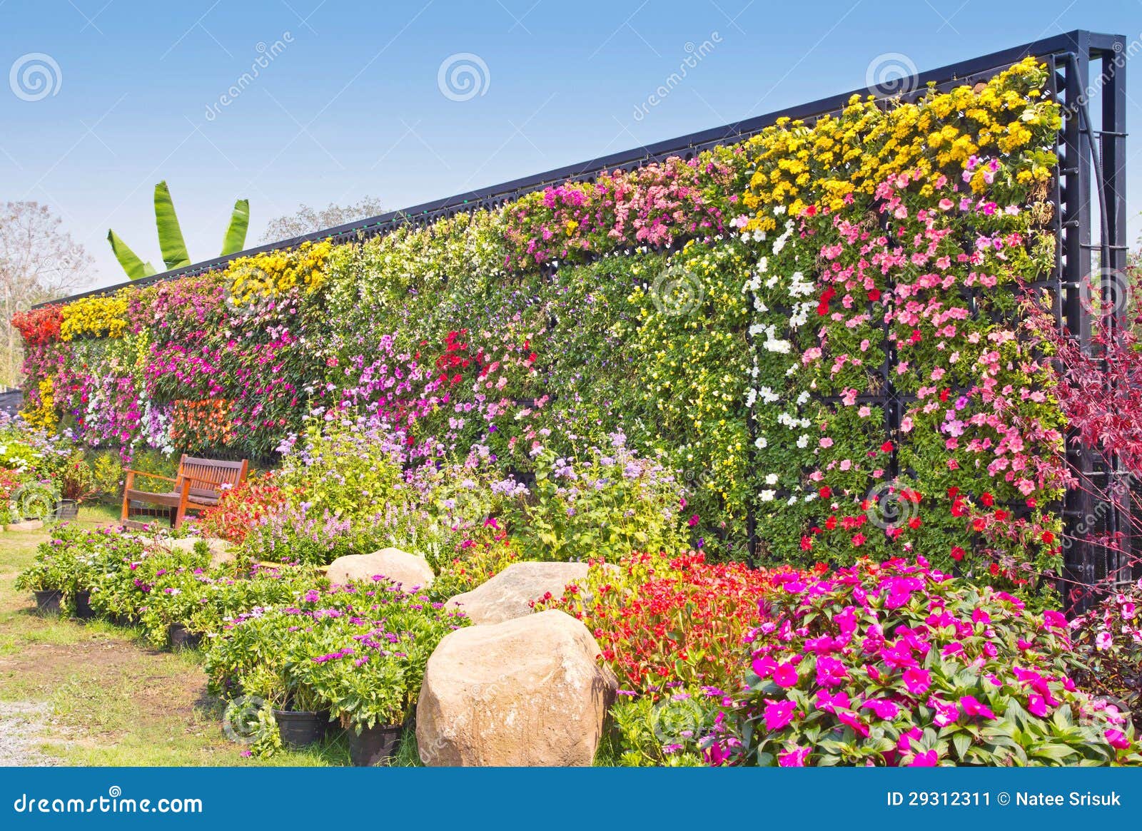Decorated with flowers stock image. Image of nature, spring 29312311