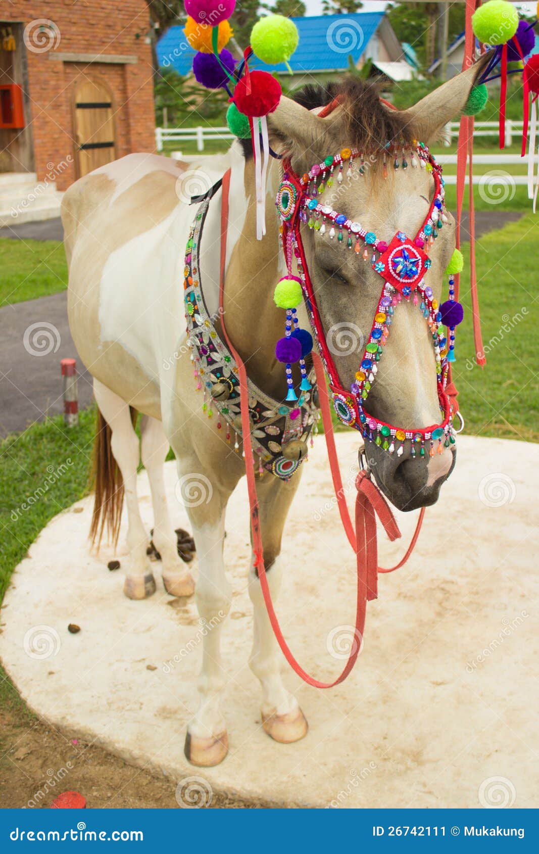 Decorated horse stock image. Image of beauty, closeup 26742111