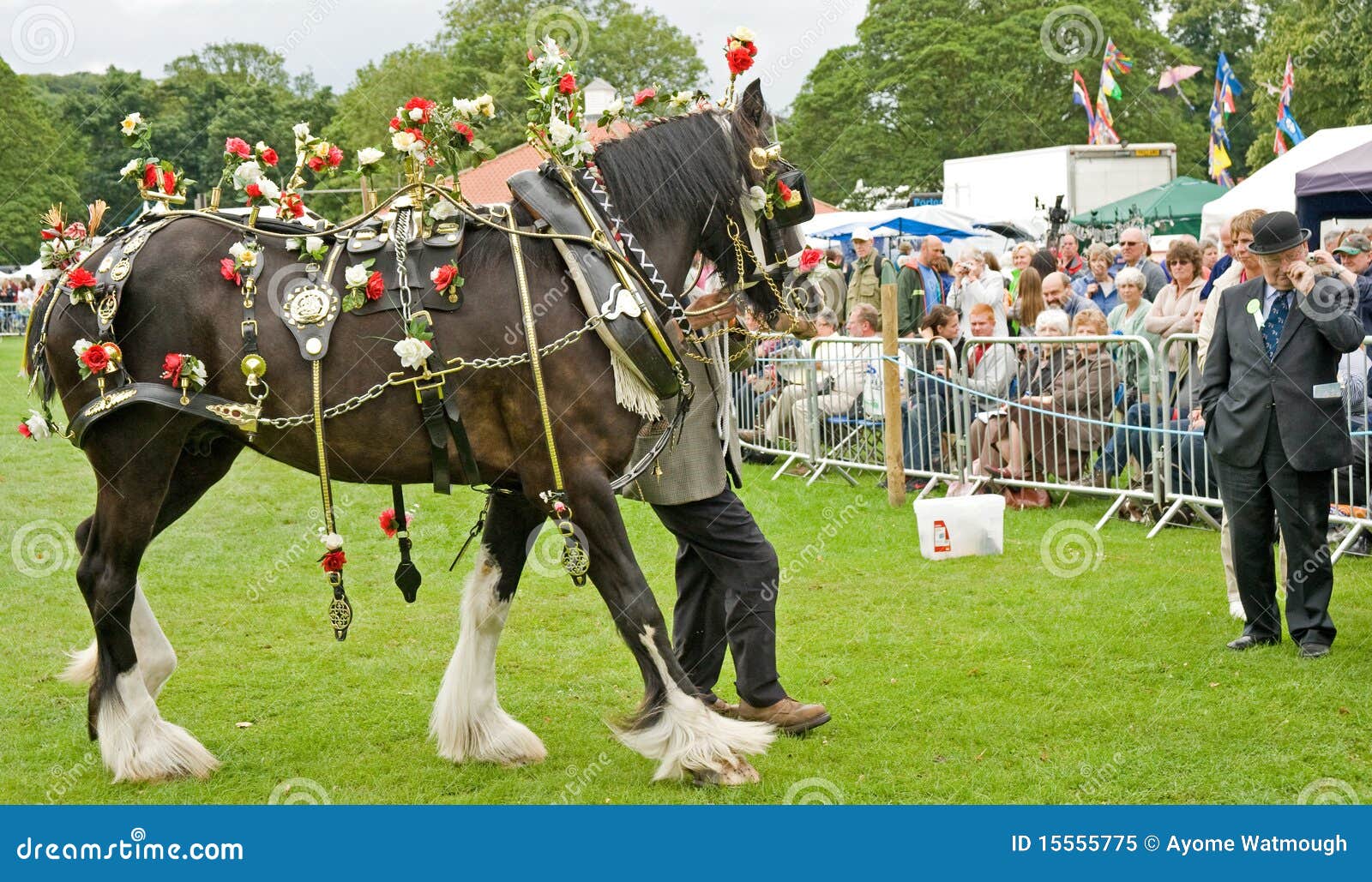 Decorated Horse Competition. Editorial Image Image 15555775