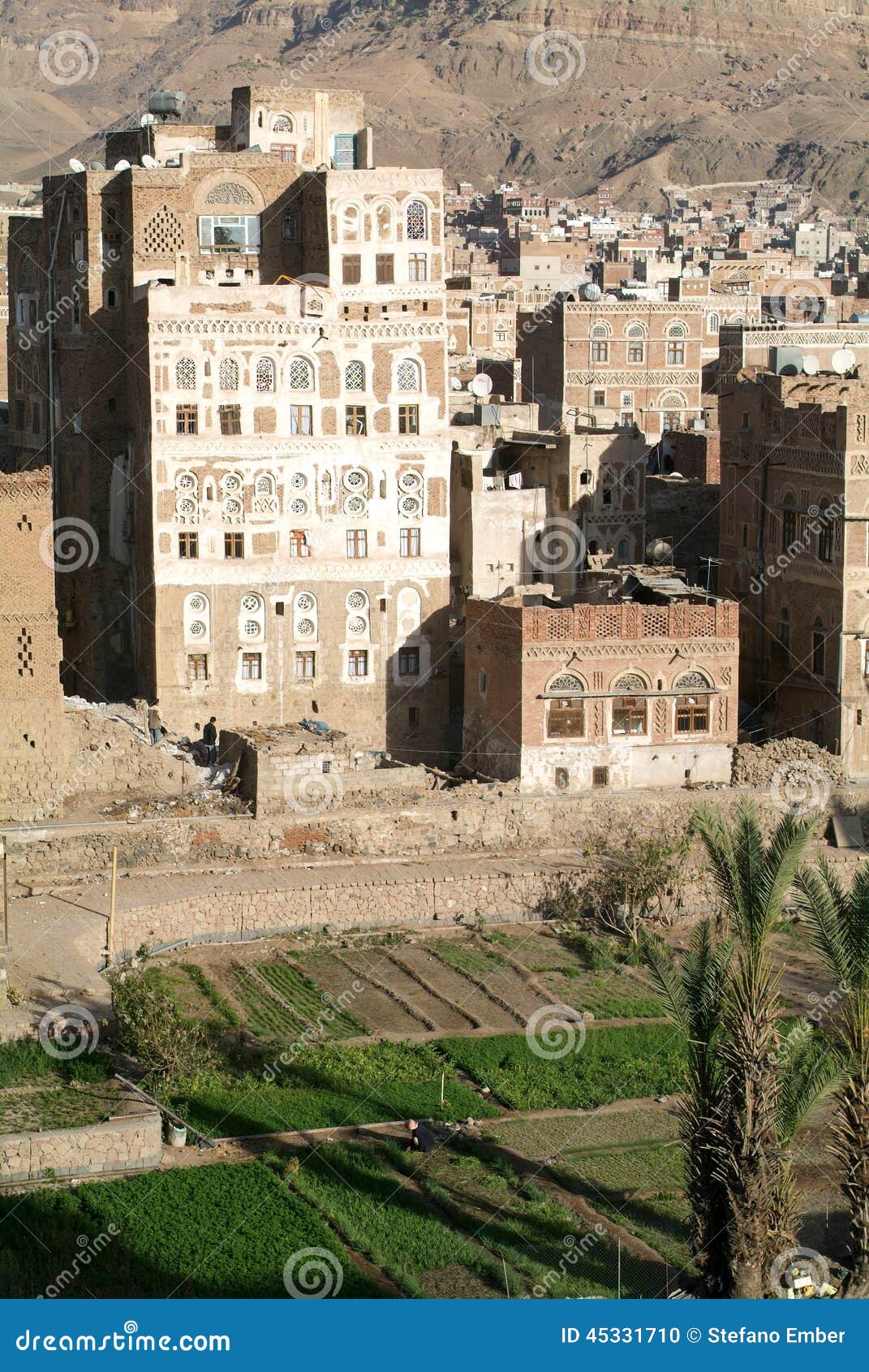 the decorated houses of old sana