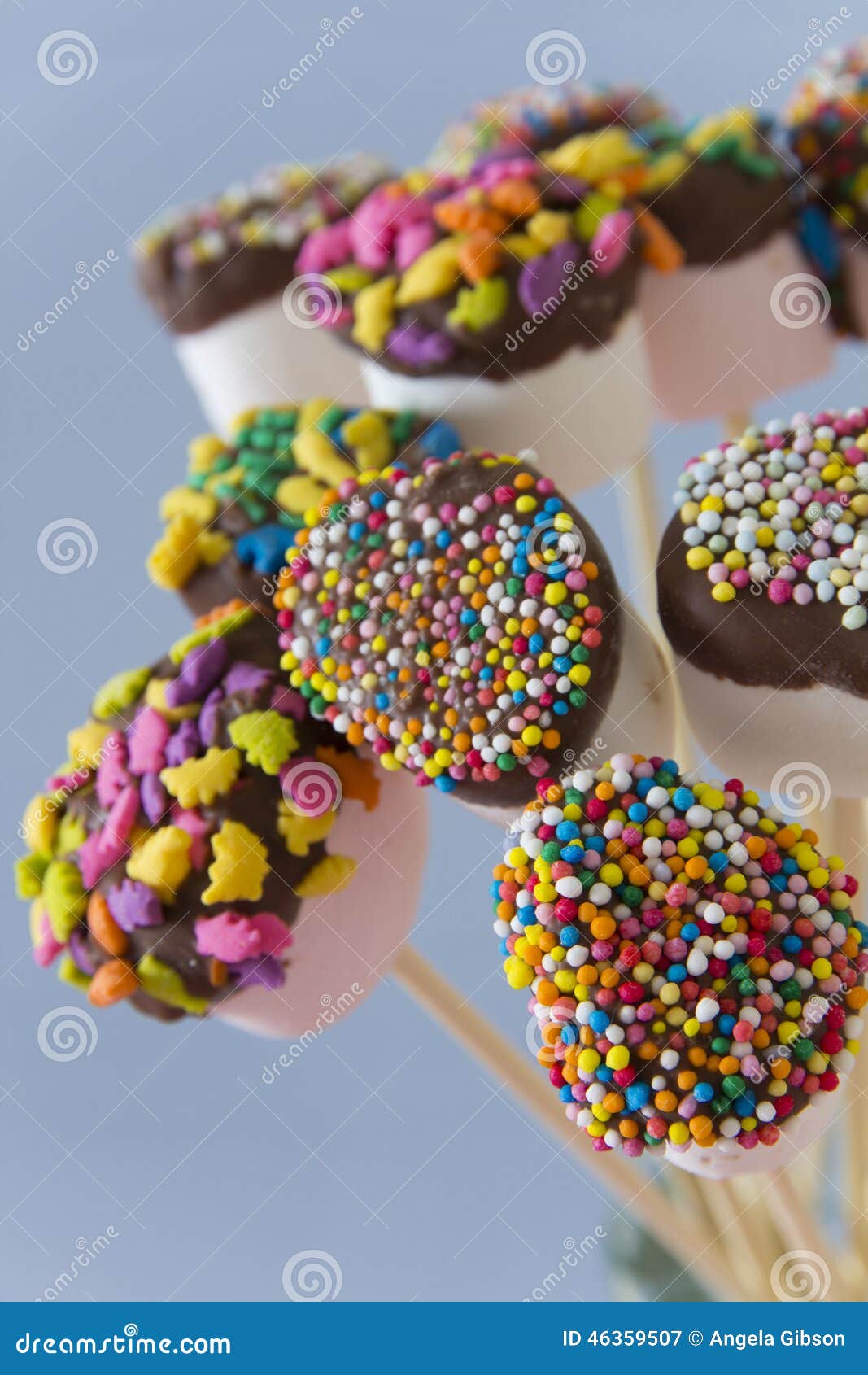 Decorated Marshmallows on Sticks Stock Image Image of yummy, white