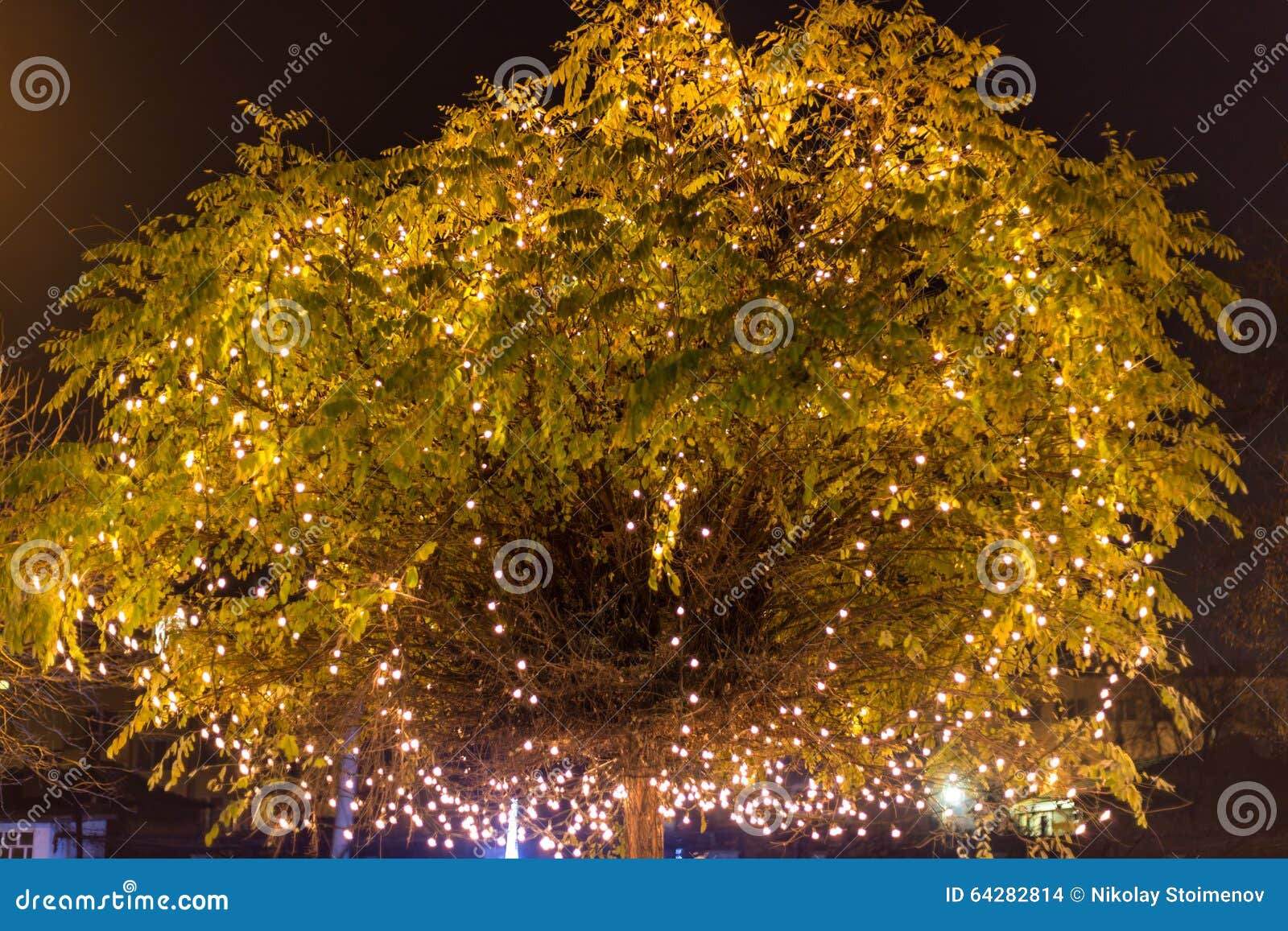 Decorated tree crown stock photo. Image of twig, celebration 64282814