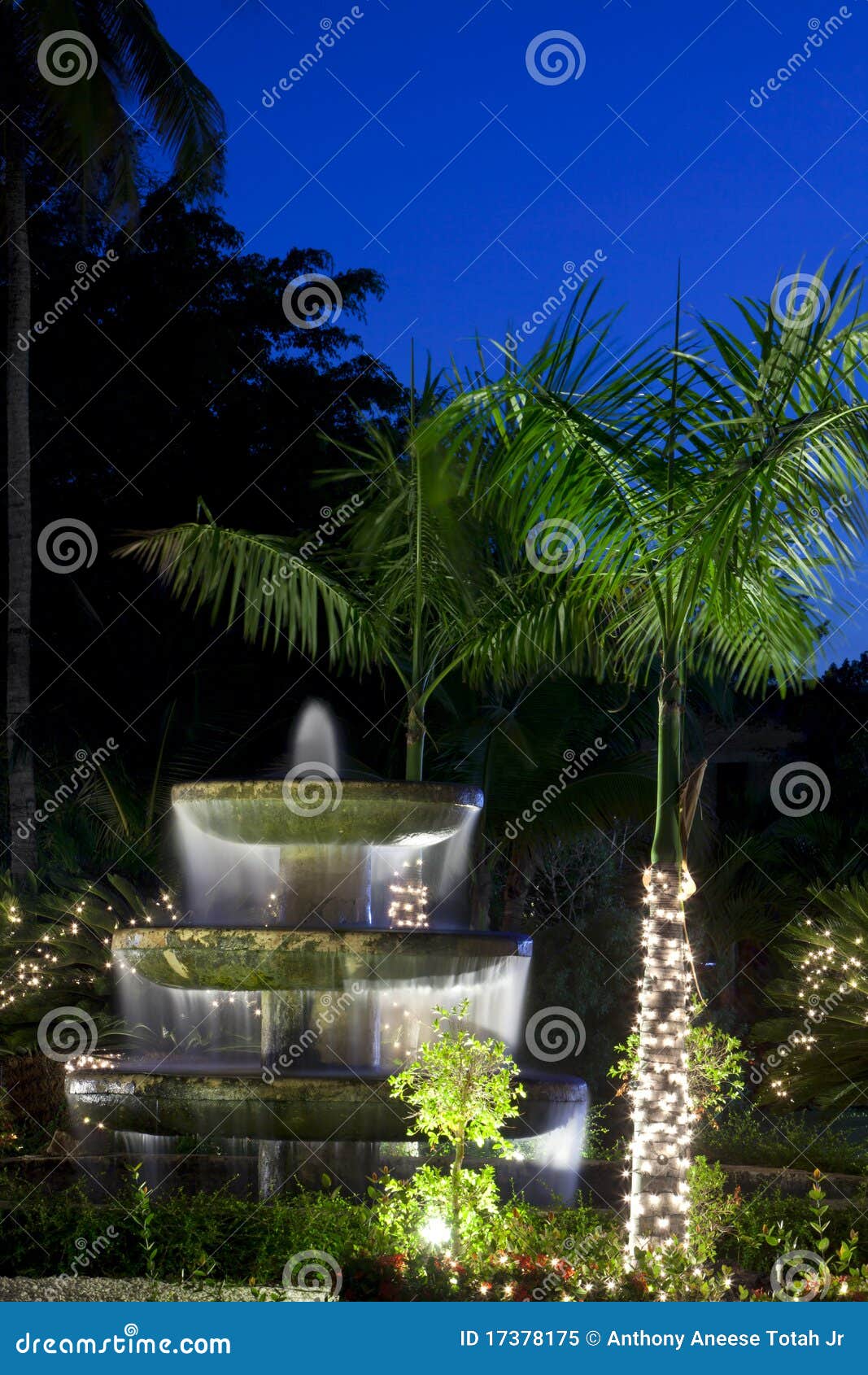 Decorated For A Tropical Christmas Stock Image - Image of setting