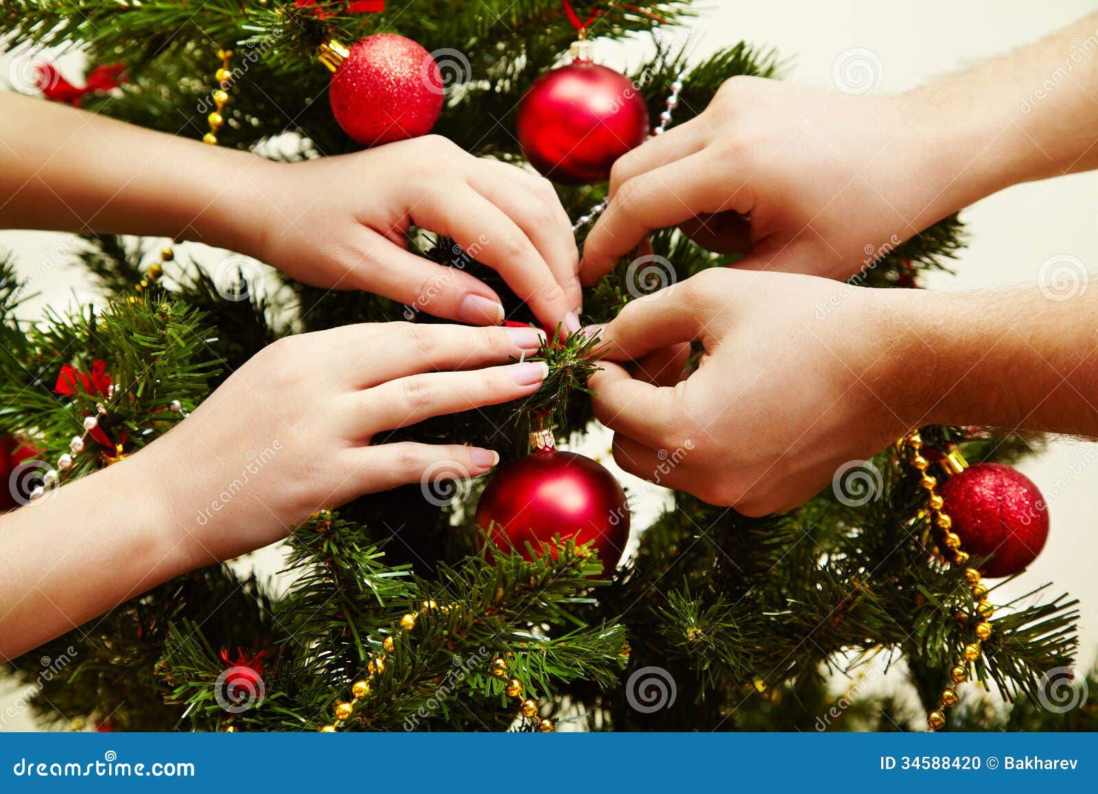 Decorating The Christmas Tree Stock Photo Image Of