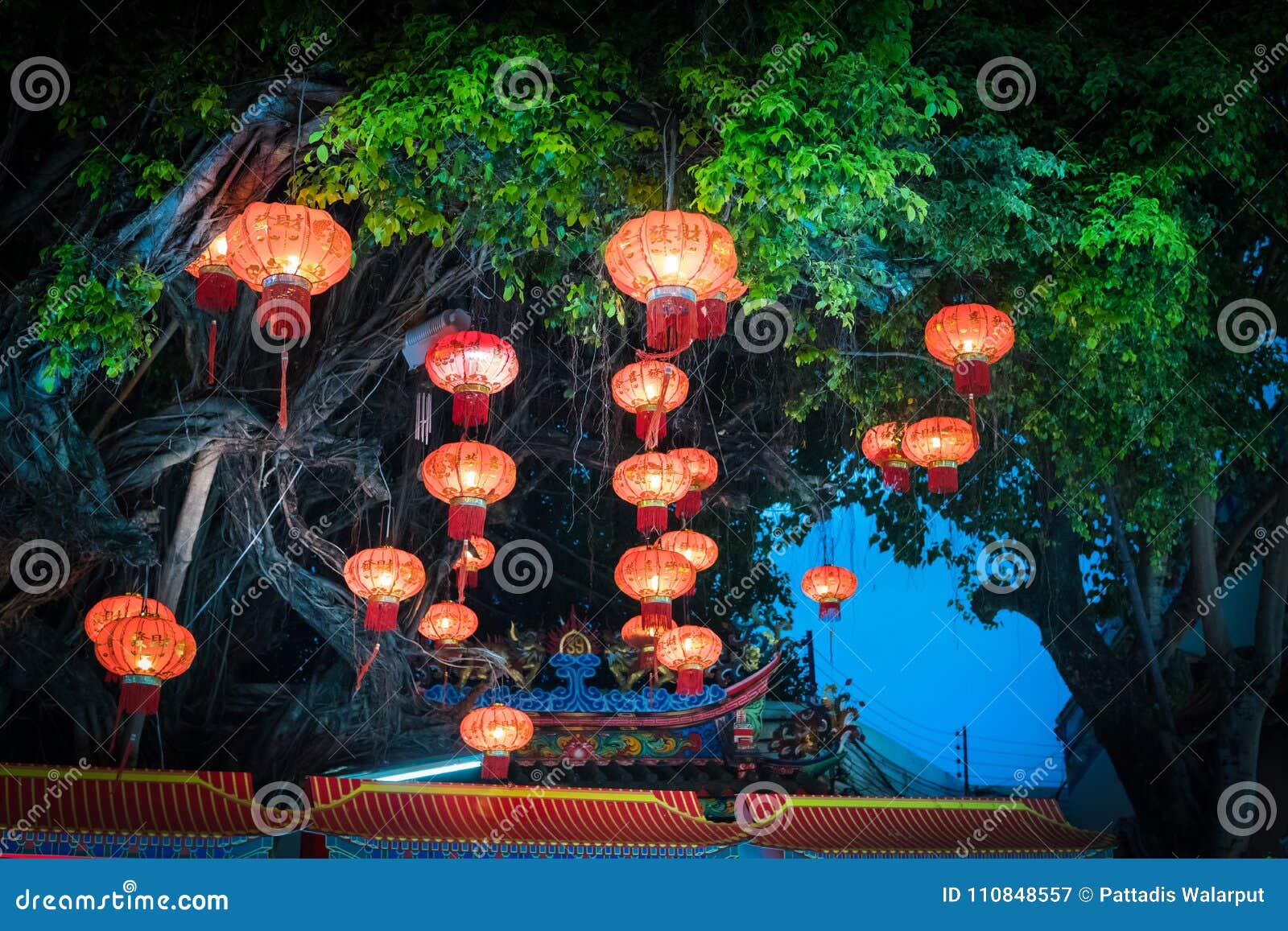 Decorating Hanging Chinese Lantern Lamps on the Tree. Stock Image