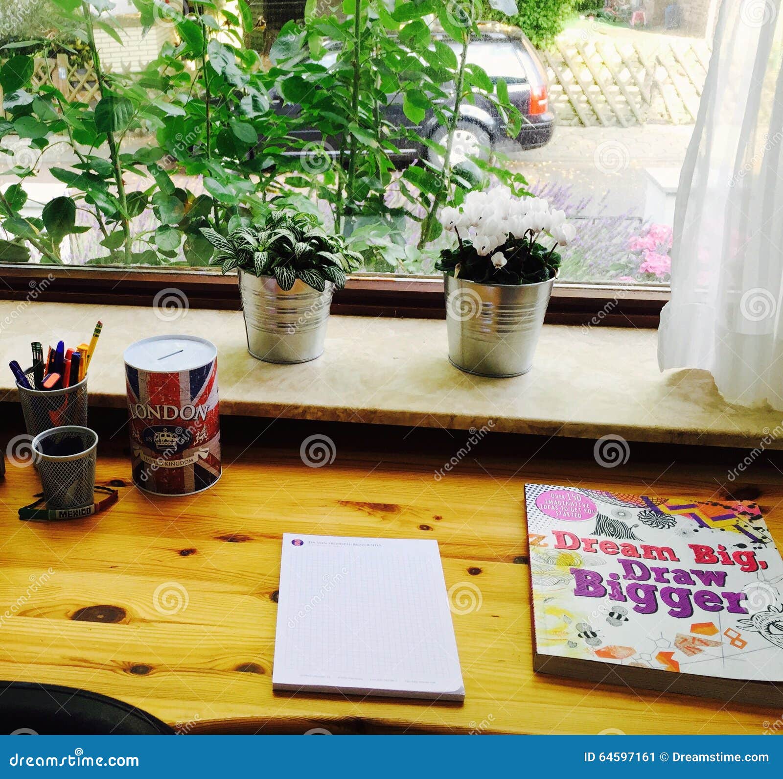 Decoration stock image. Image of plants, office, ideas 64597161