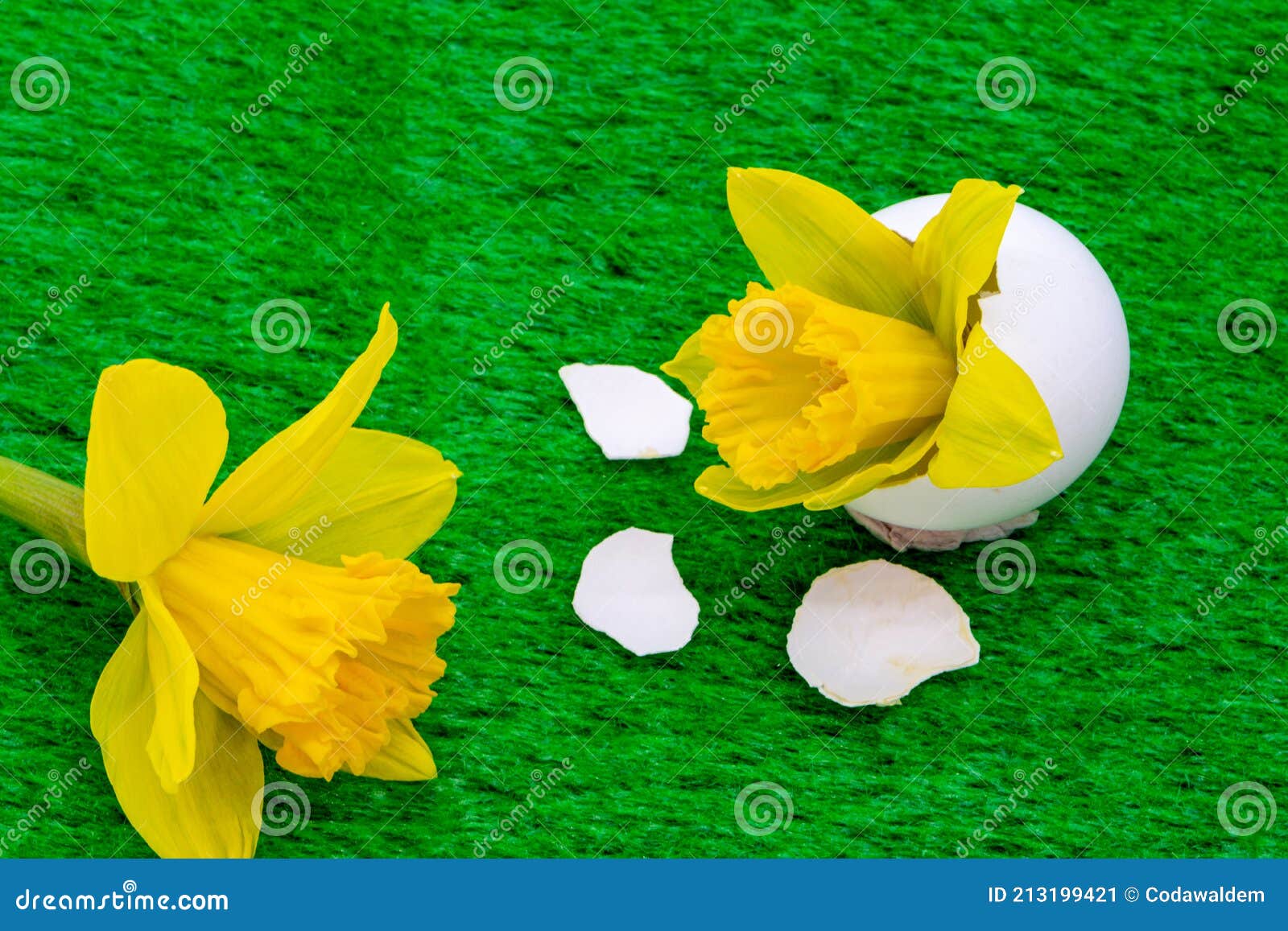 Decoration for Easter Daffodil in an Egg. Stock Image Image of