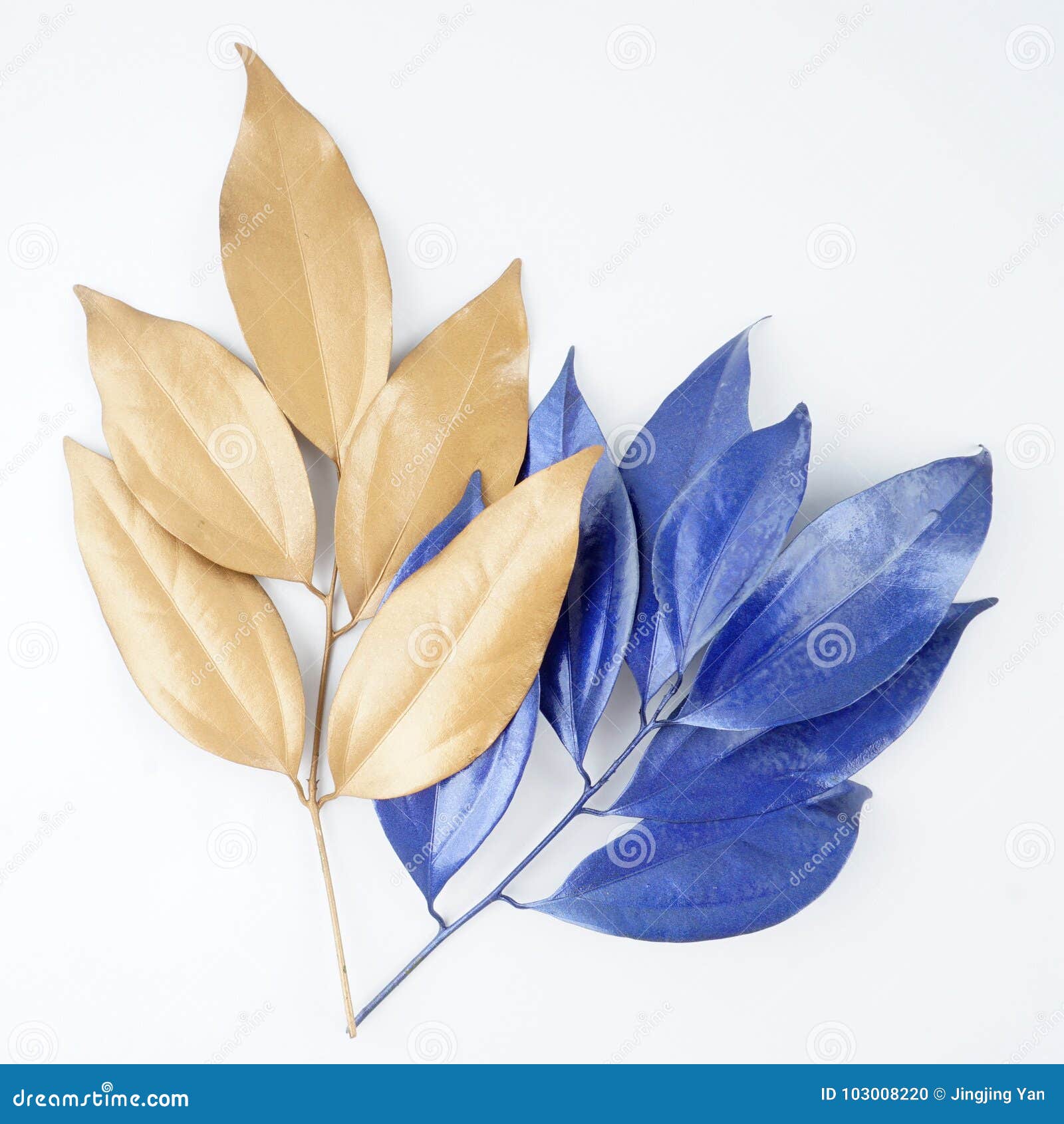 Blue and Gold Leaf Design Elements. Stock Photo - Image of blue, palm