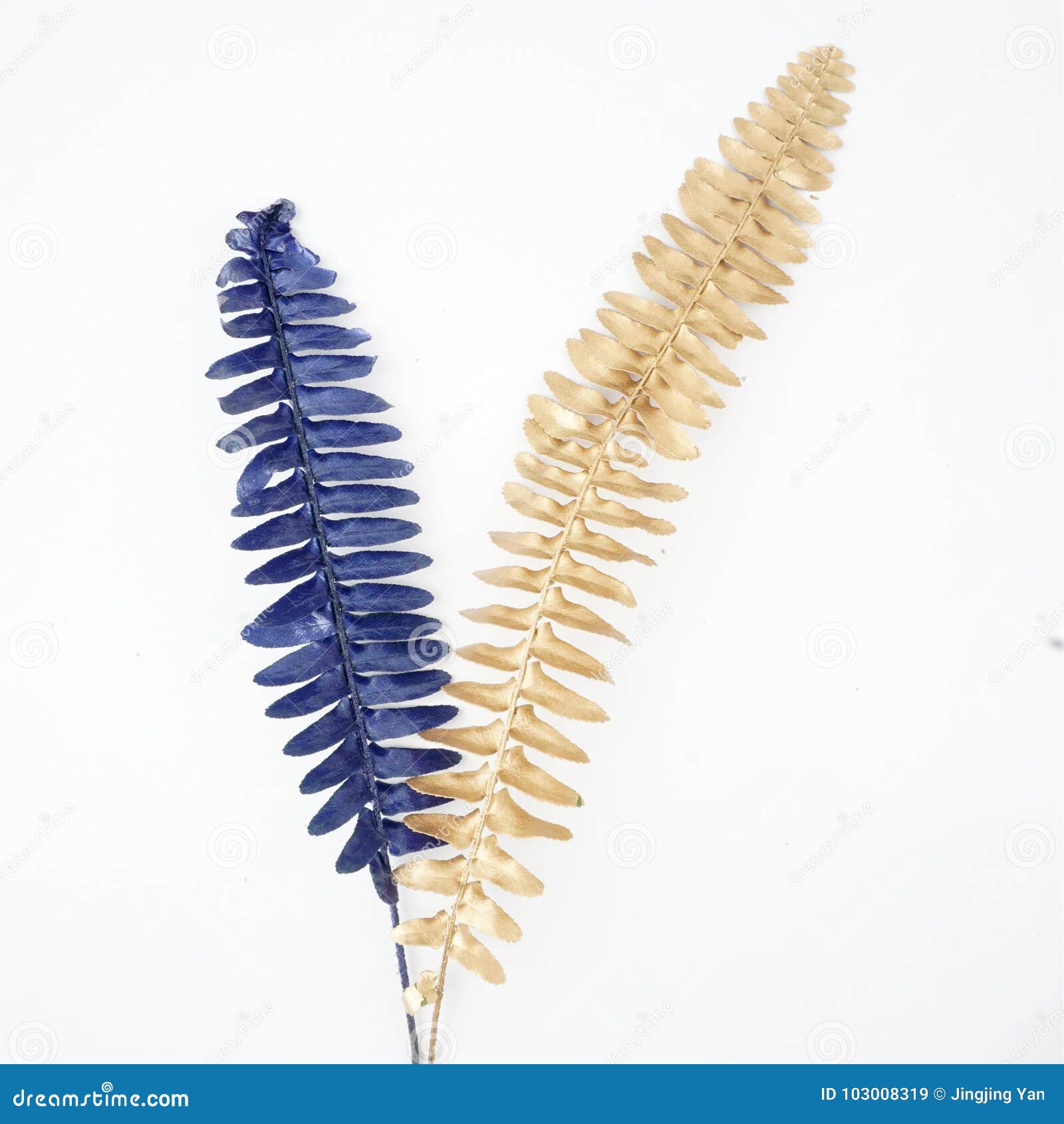 Blue and Gold Leaf Design Elements. Stock Image - Image of symbol, palm