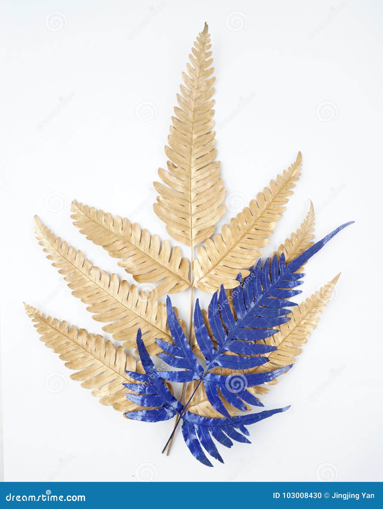 Gold and Blue Leaf Design Elements. Stock Photo - Image of plant, pink