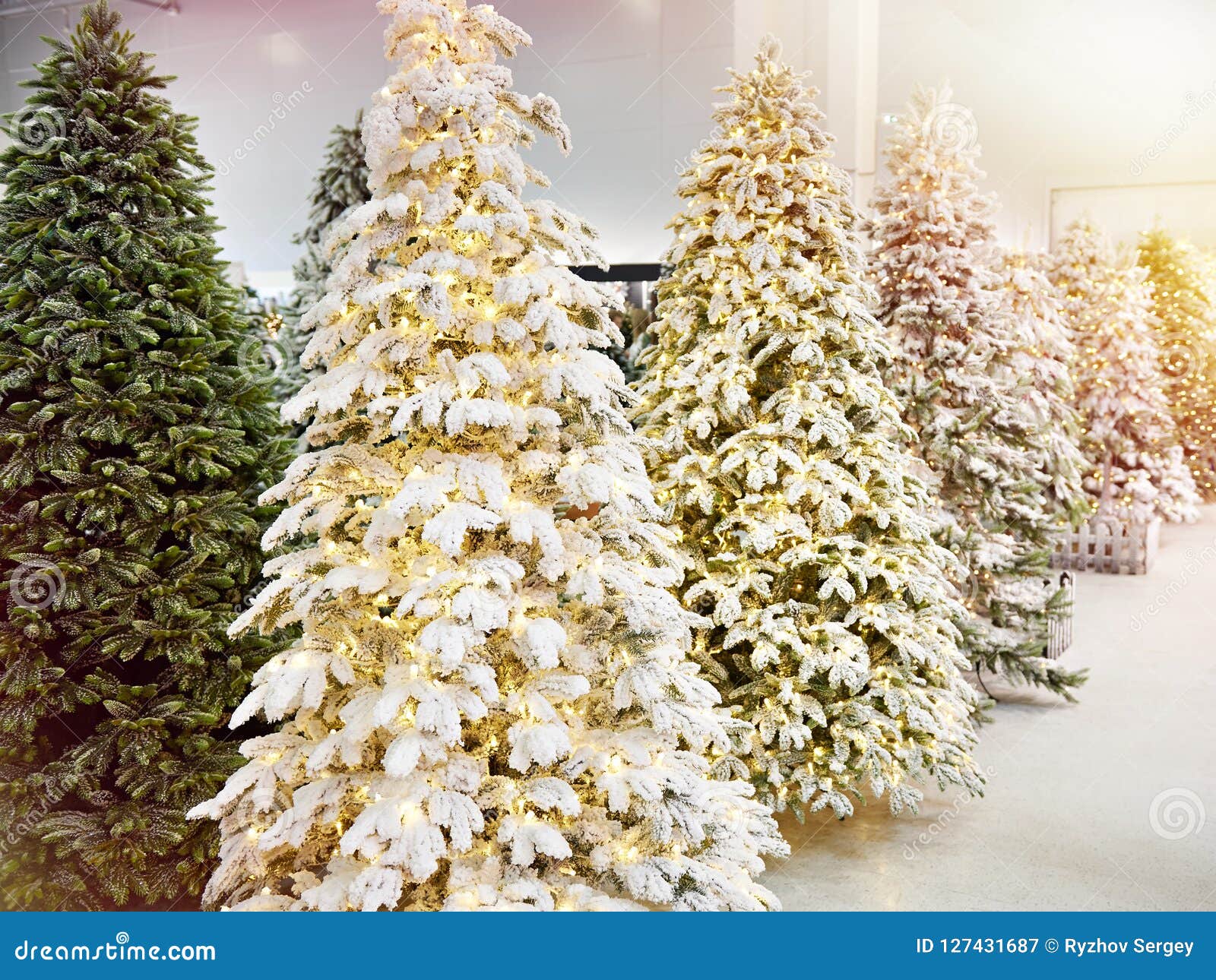 Artificial Christmas Tree Stores 