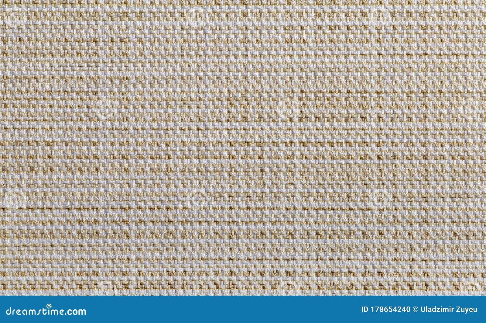 Decorative Background. Background with Texture and Pattern for Design