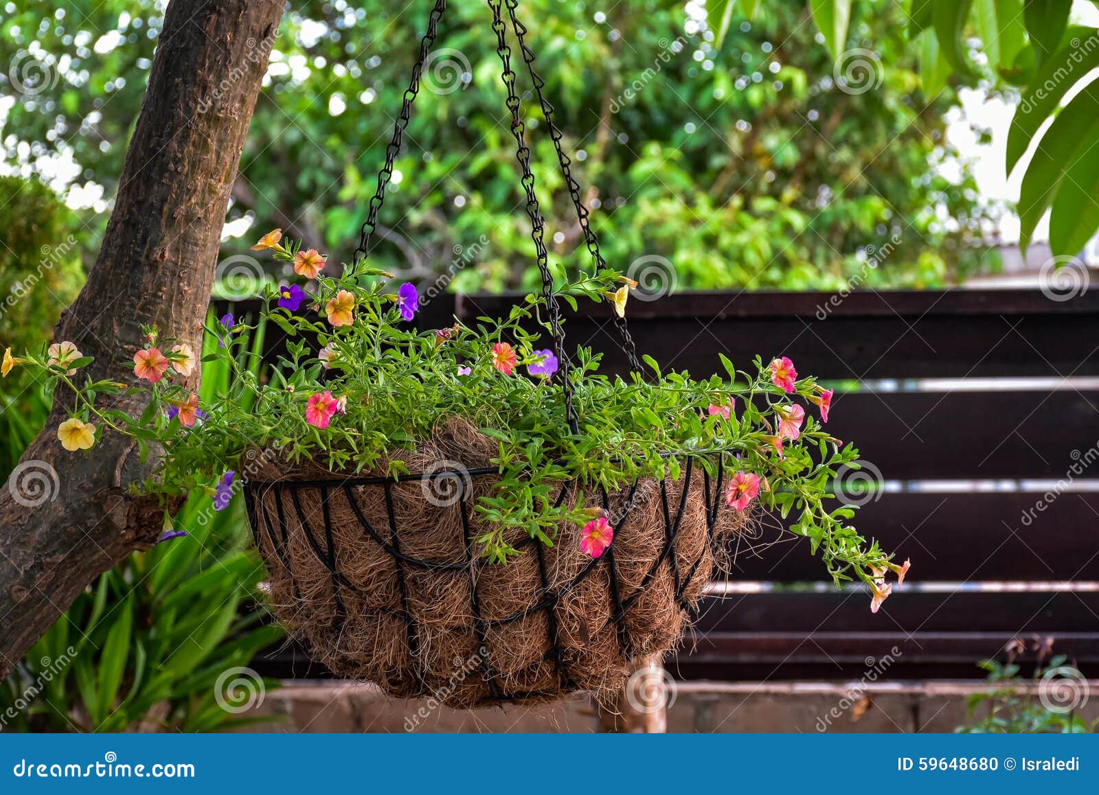 Decorative Basket with Flowers Stock Photo Image of floral, tropical