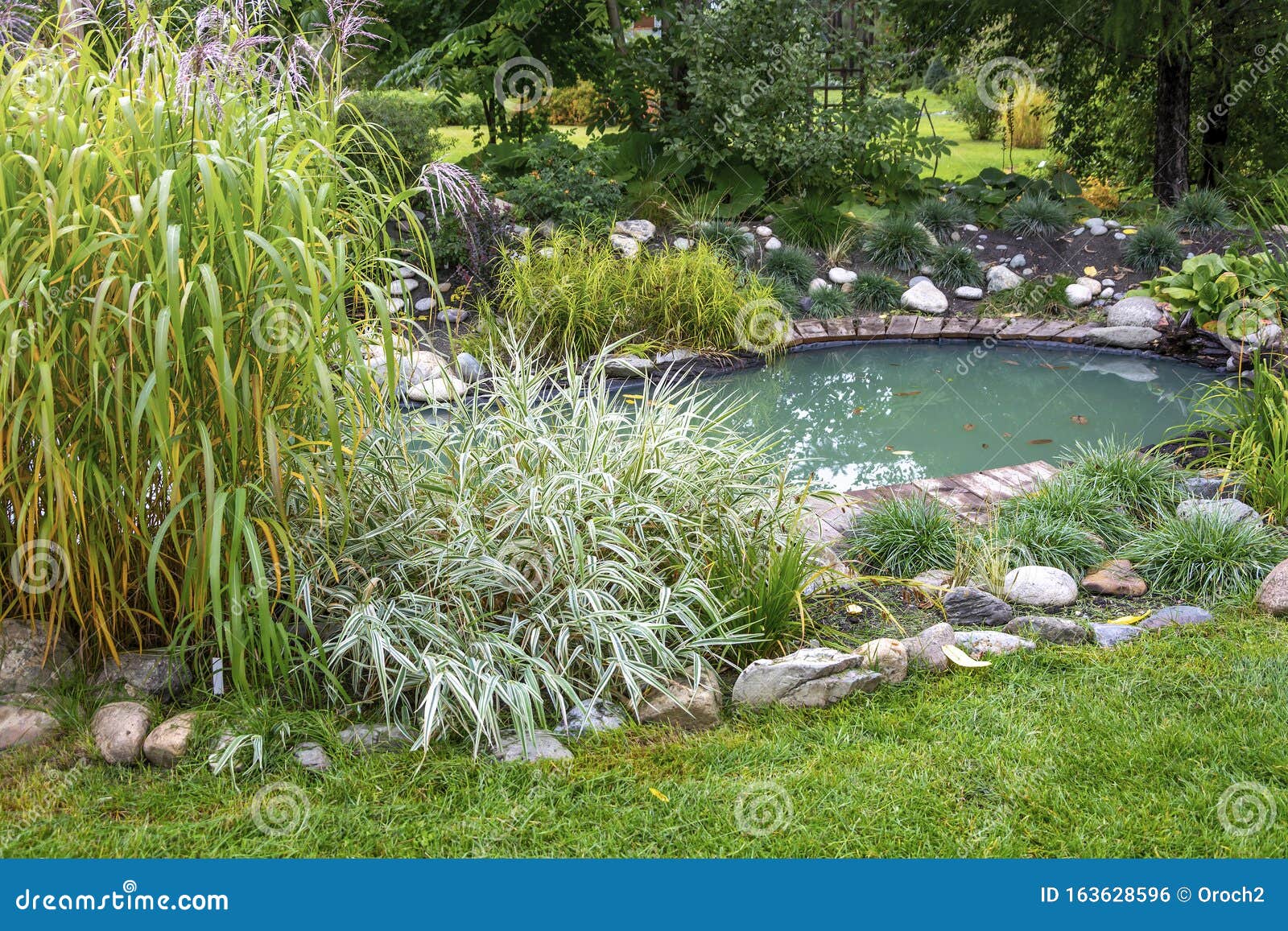 decorative beautifully arranged pond