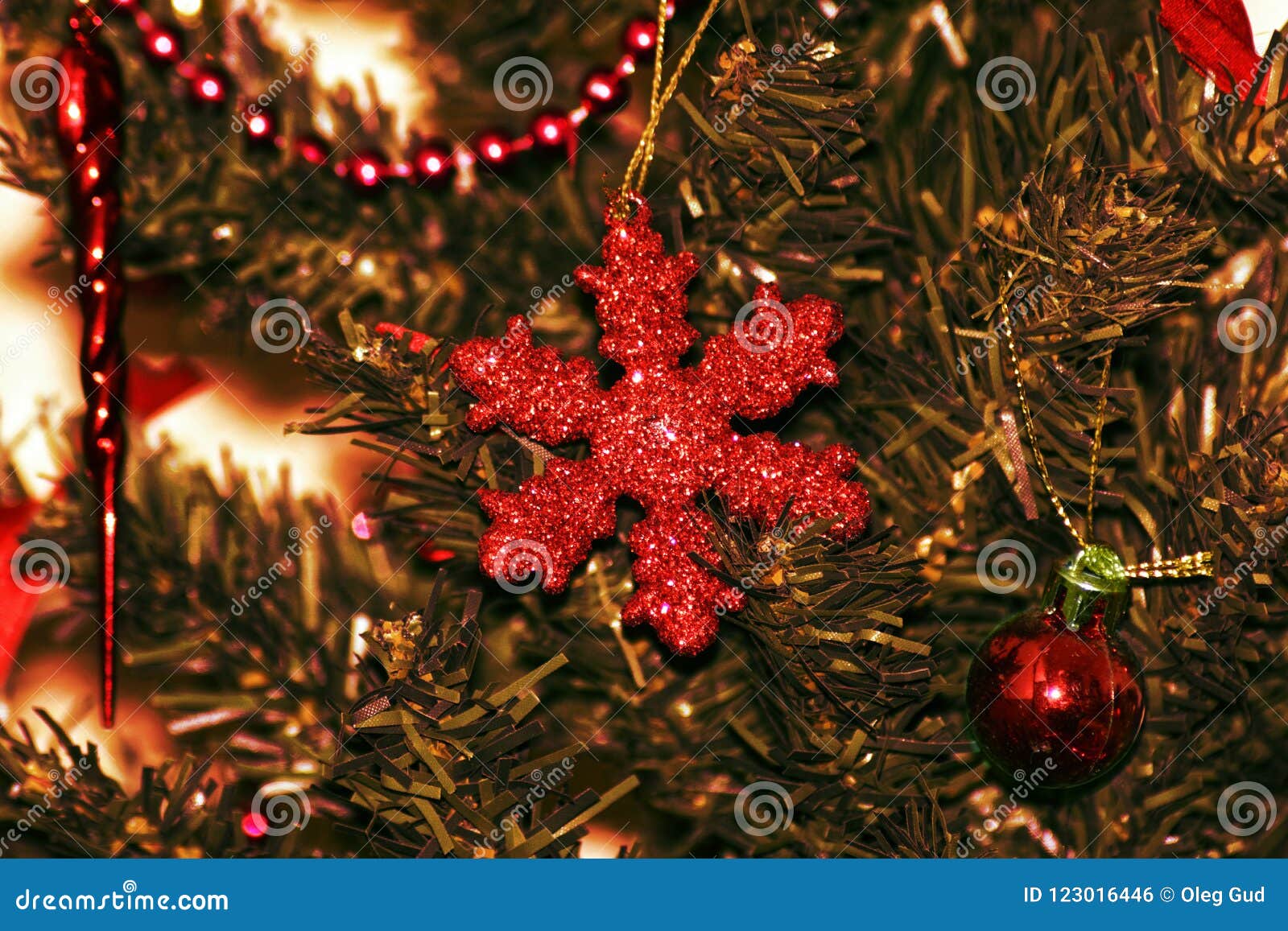 Christmas Star on Branches of Coniferous Tree Stock Photo - Image of ...