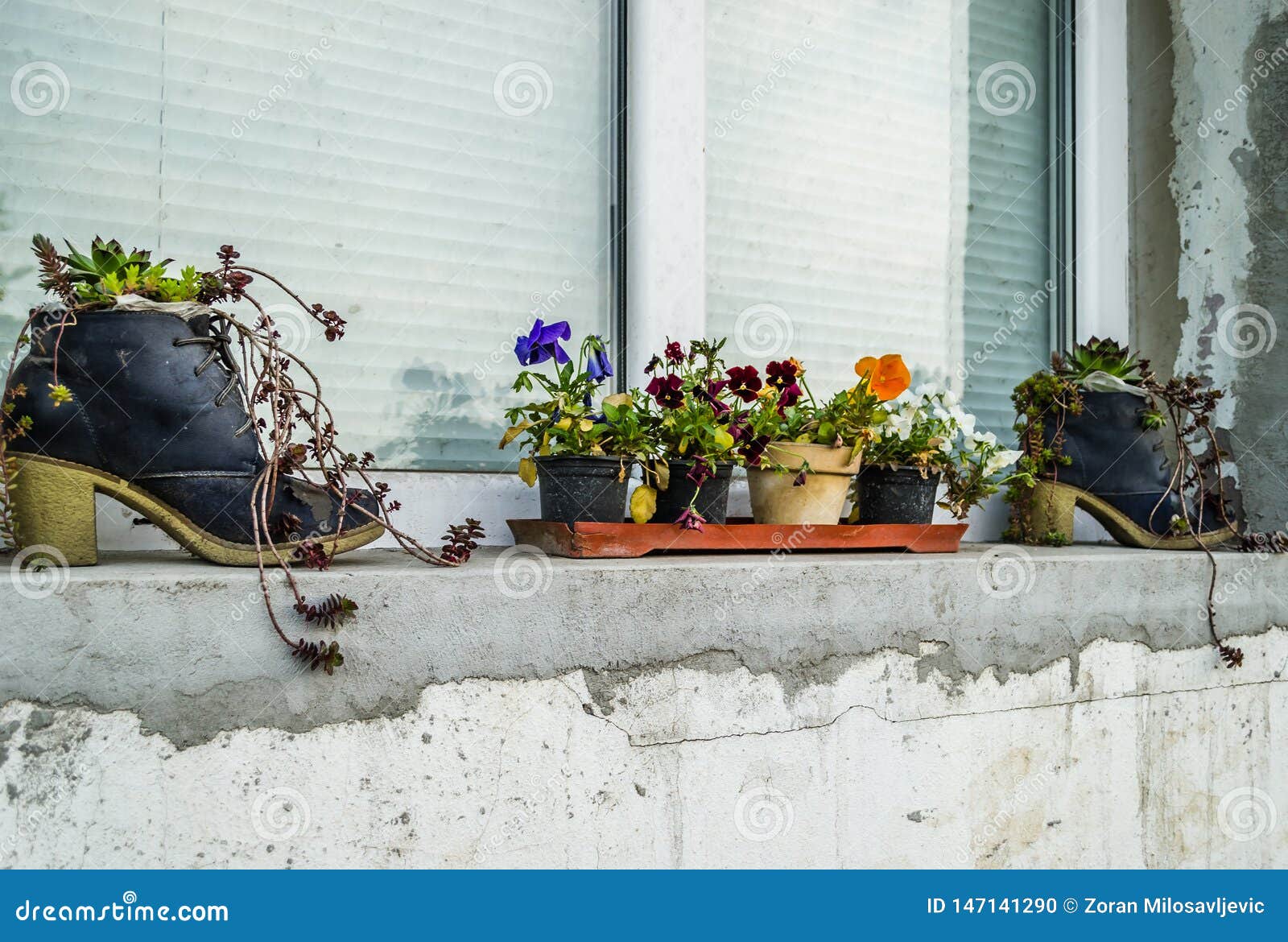 Decorative, Creative Flower Pots on the Window Stock Photo Image of