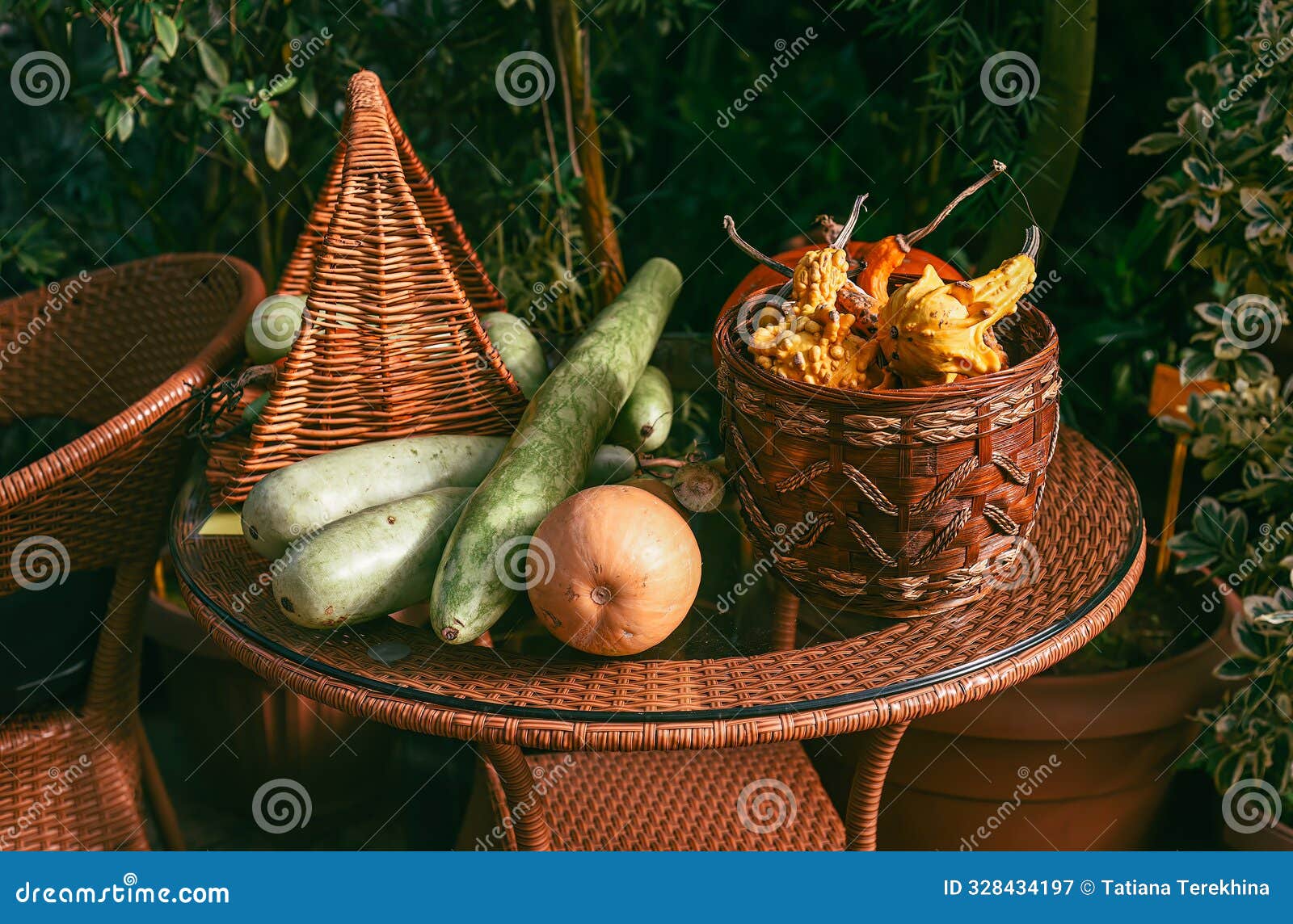 decorative creative set of decoration with different types of pumpkin wax gourd, momordica on a table