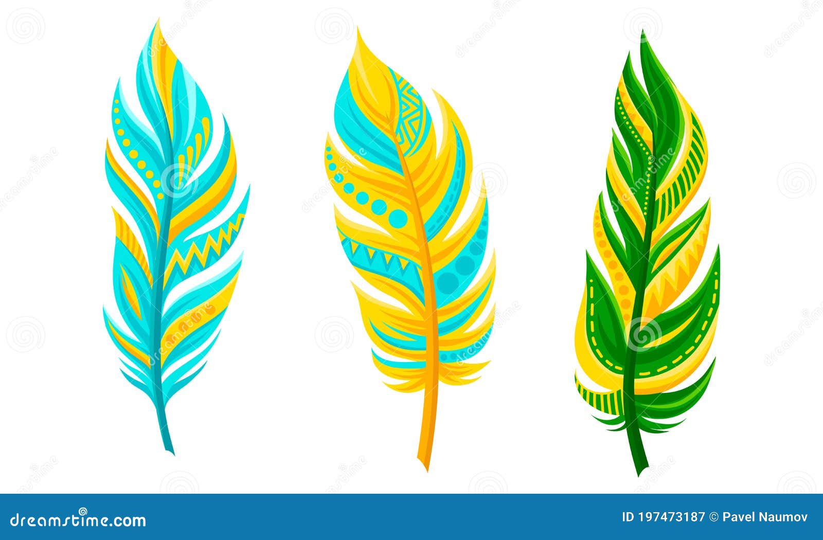 Decorative Curved Feathers As Avian Plumage Vector Set Stock Vector ...