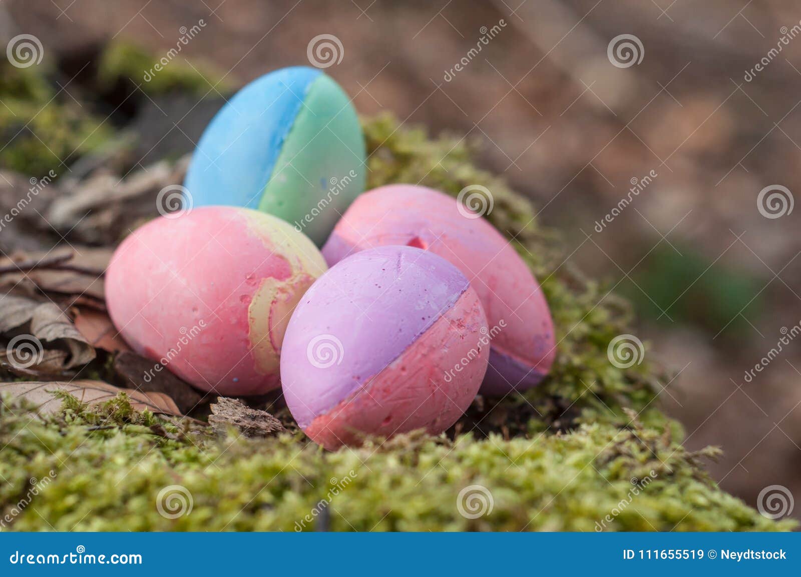 Decorative Easter Eggs on Moss in the Forest Stock Image - Image of