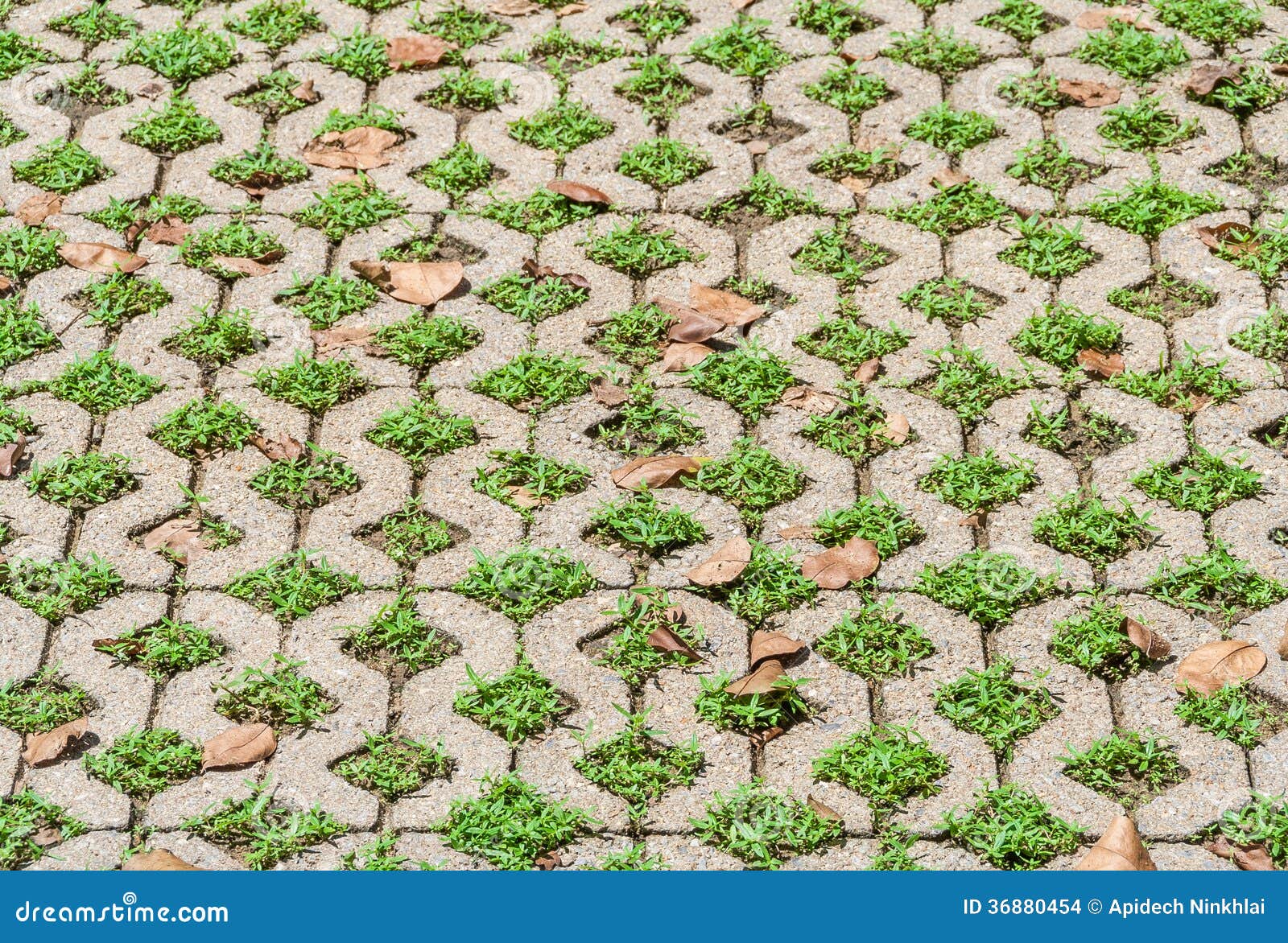 Decorative exterior floor stock photo. Image of cement 36880454