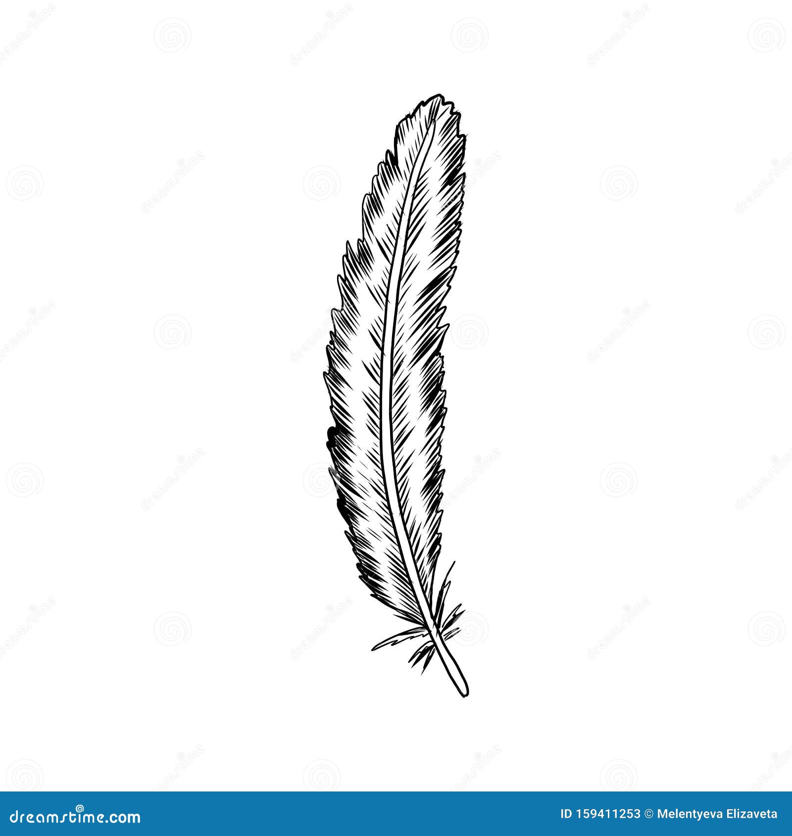 Decorative Feather Hand Drawn Vintage Symbol of Happy Easter, Vector ...