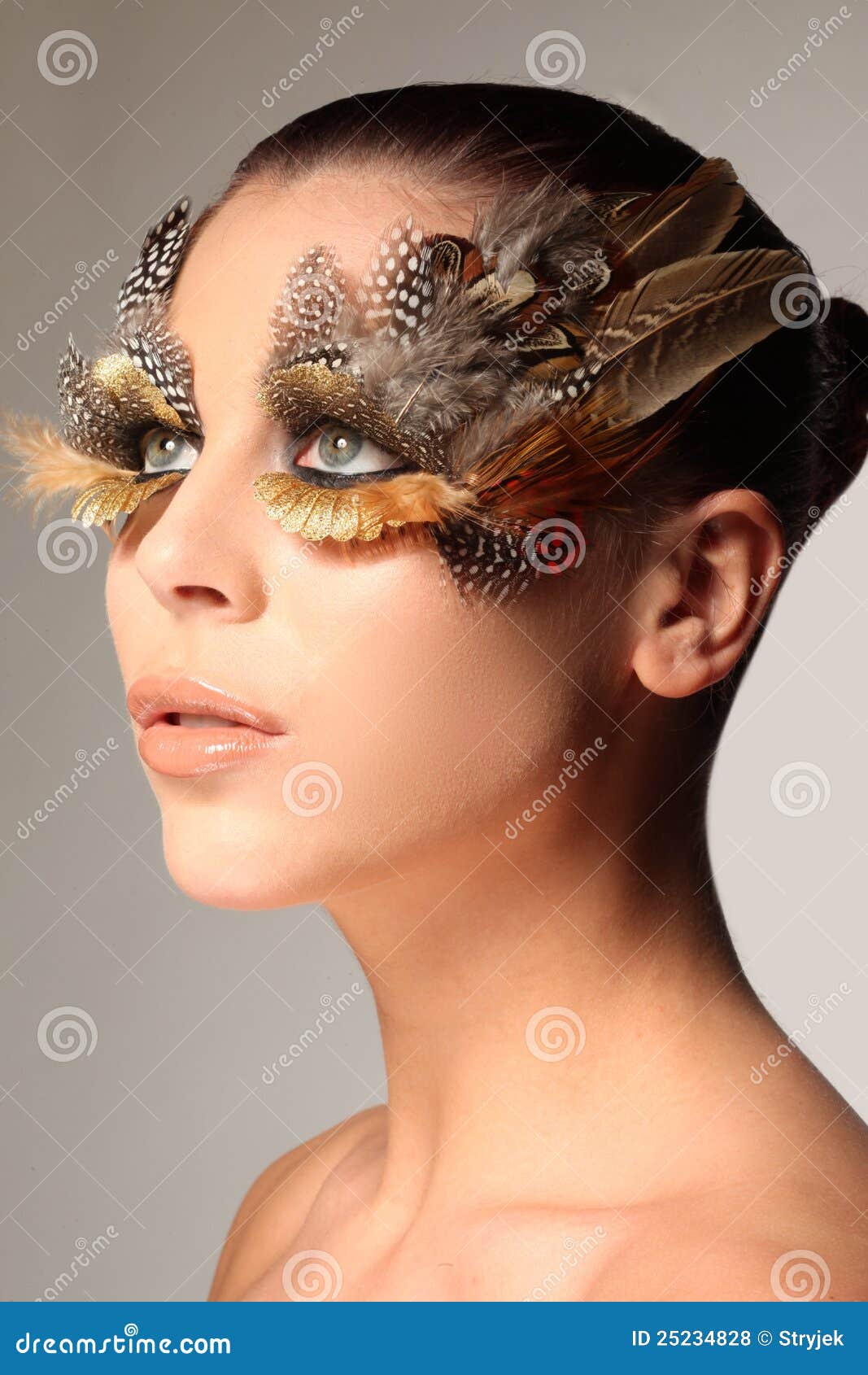Decorative Feather Make Up Like The Wing Of A Bird Stock