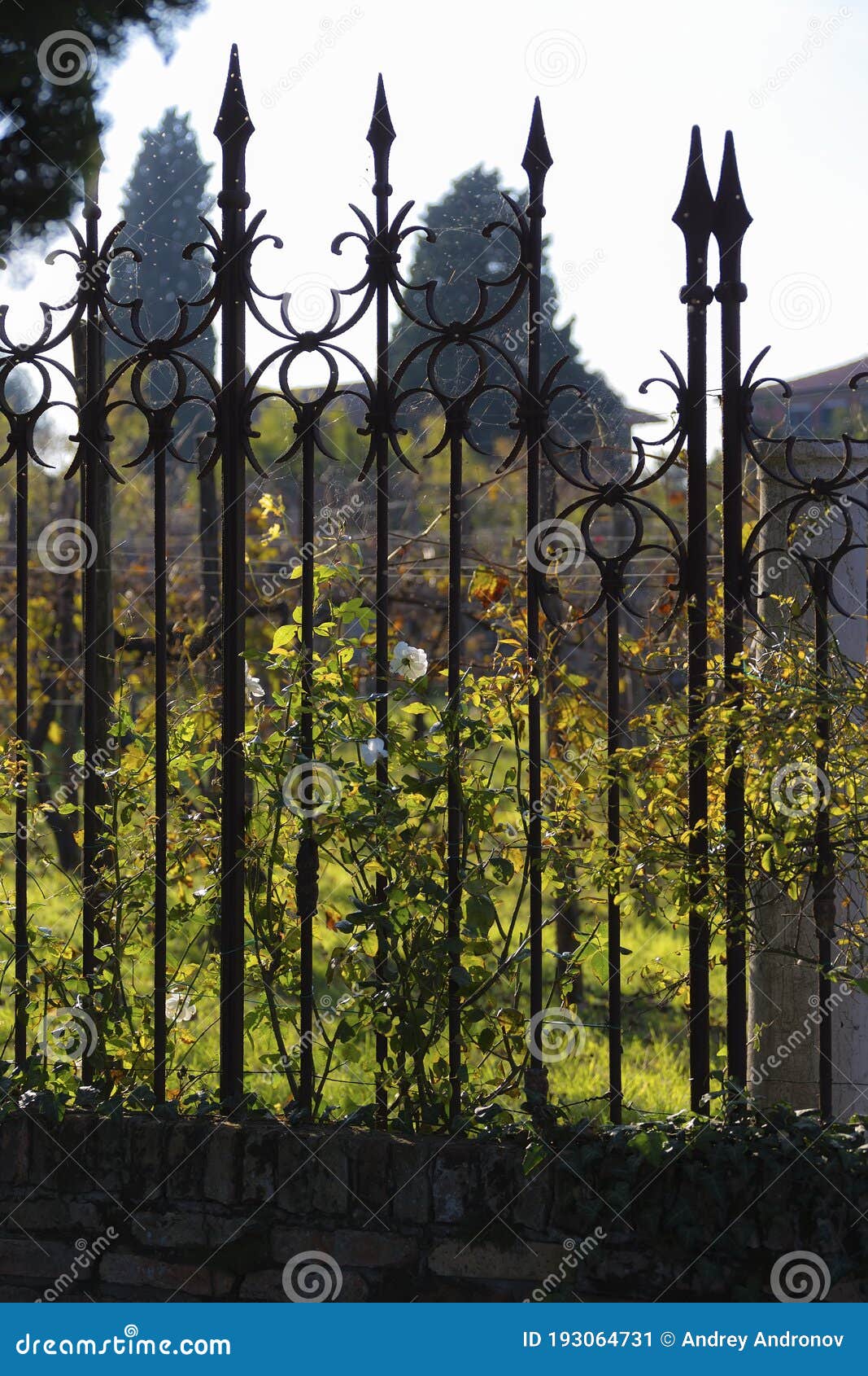 Decorative Fence in the Form of Sharp Spears Stock Image - Image of ...