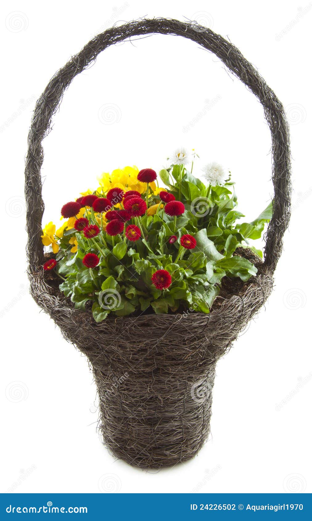 Decorative flower basket stock photo. Image of bunch 24226502