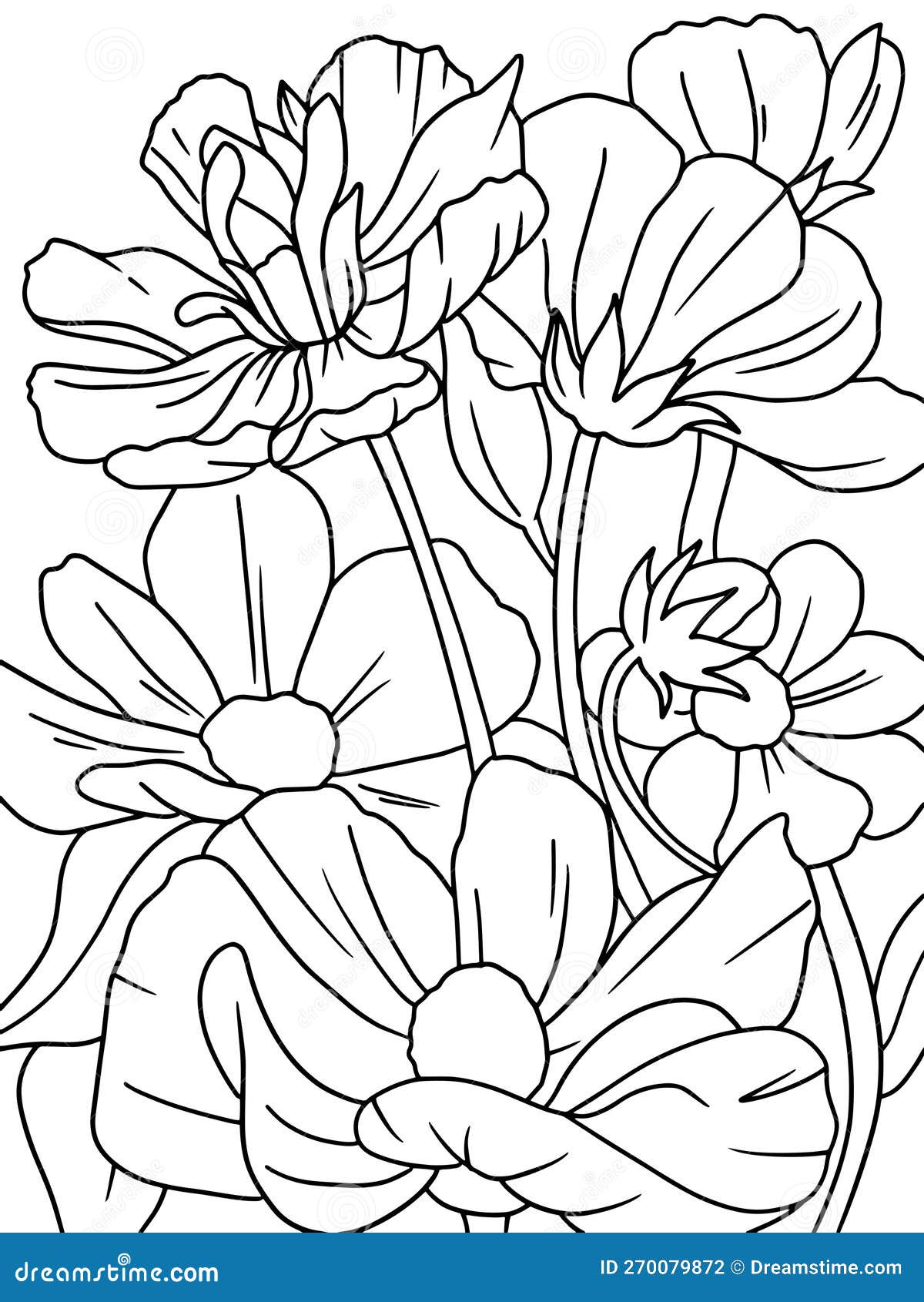 Decorative Flower Papaver Coloring Page with Pencil Line Art. Black ...