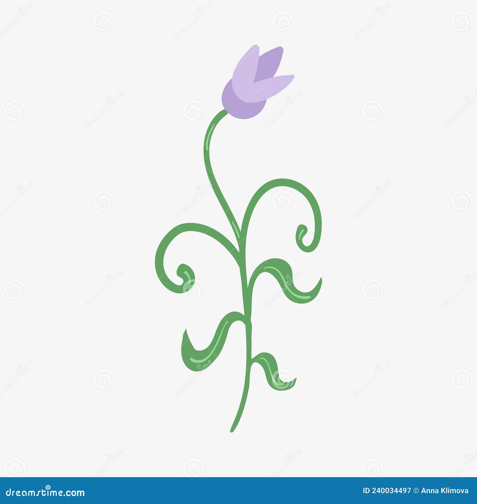 Decorative Flower with Plant Elements Isolated on Background Stock