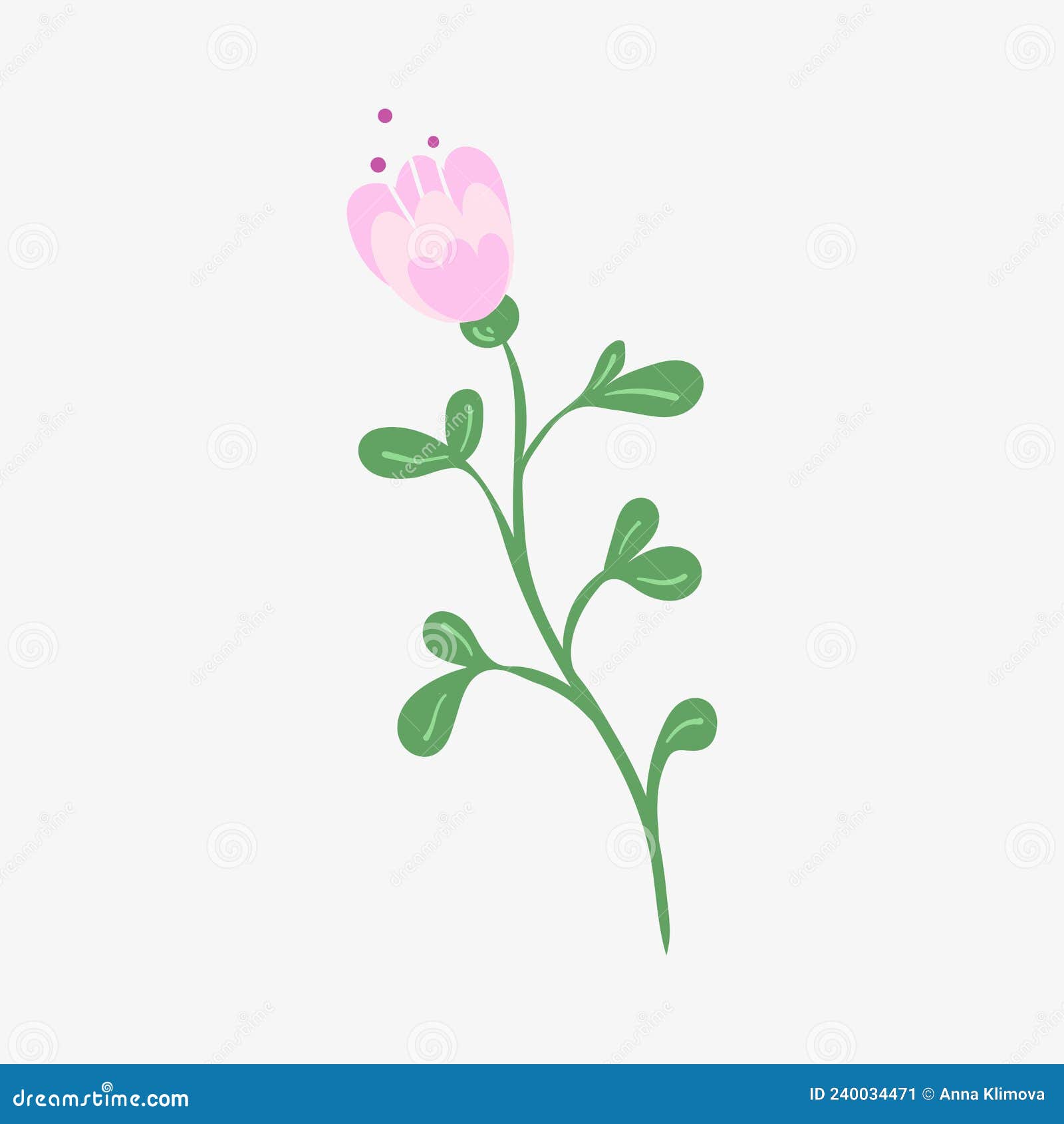 Decorative Flower with Plant Elements Isolated on Background Stock
