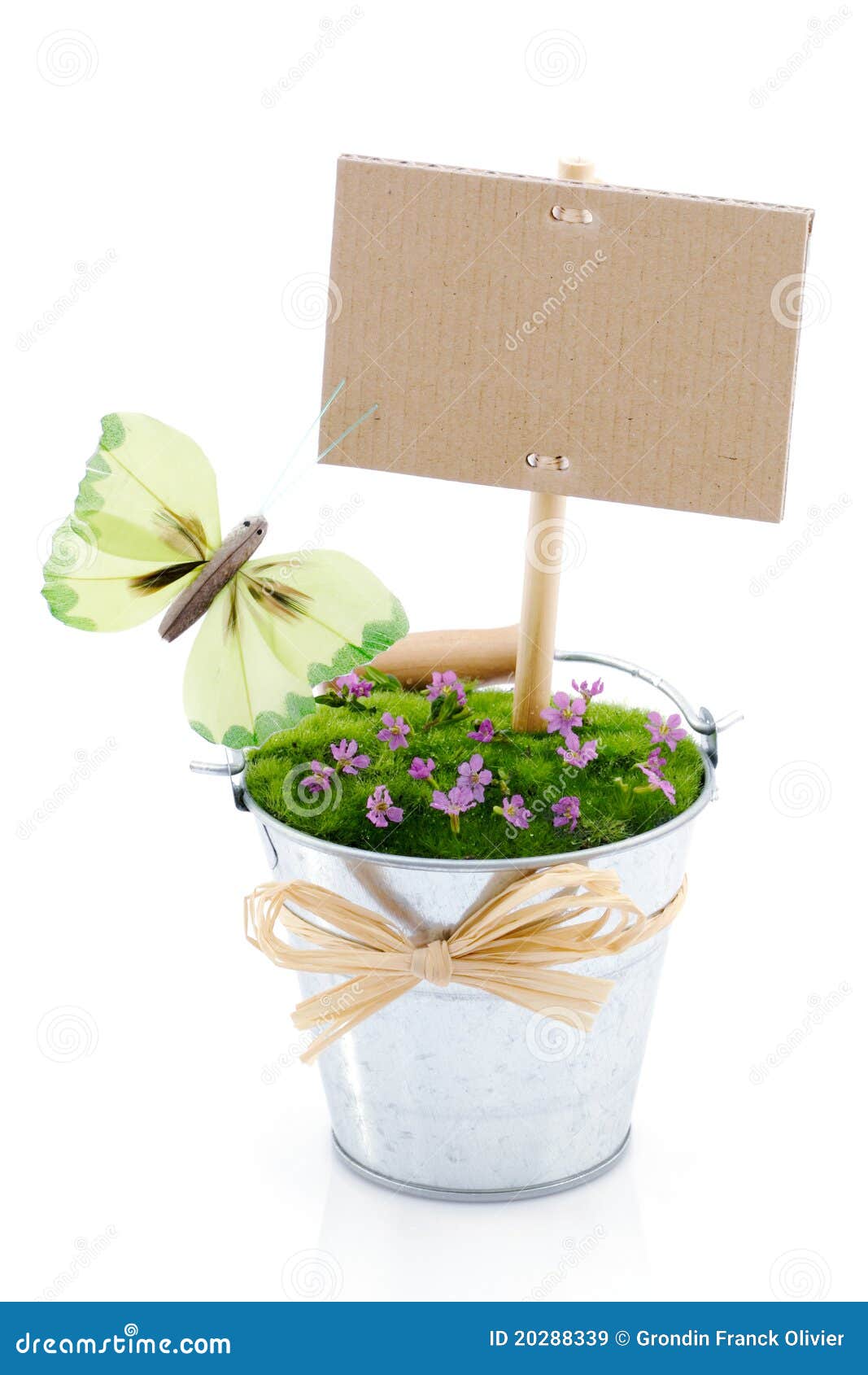Decorative flower with sign. Decorative flower in plant pot with butterfly and blank sign; isolated on white background.