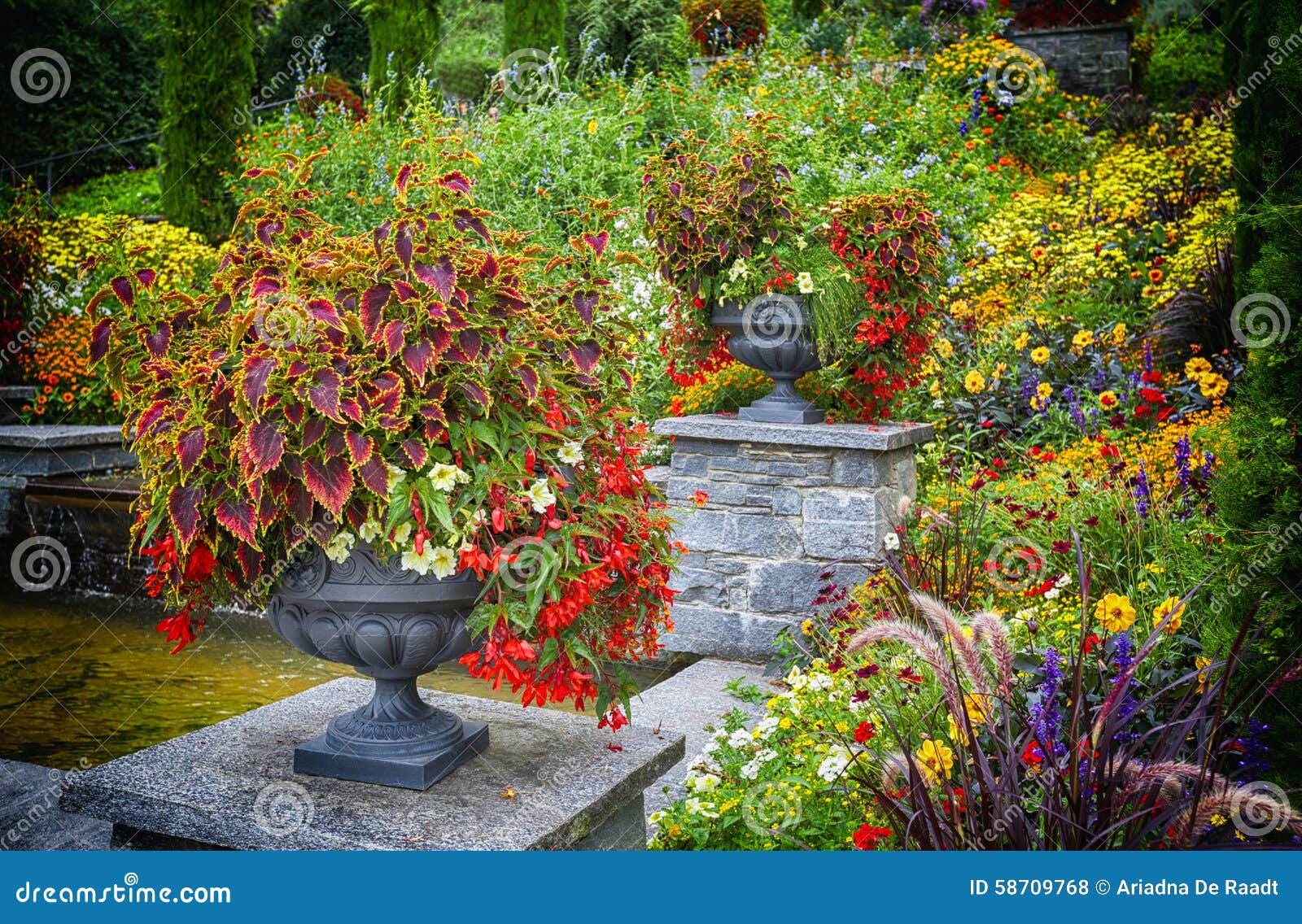 Decorative Flower Vase in Garden Stock Photo Image of germany, green