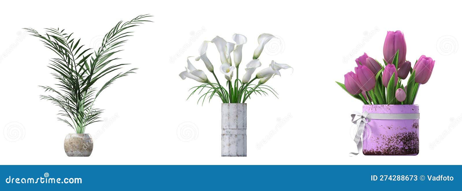 decorative flowers and plants for the interior, 