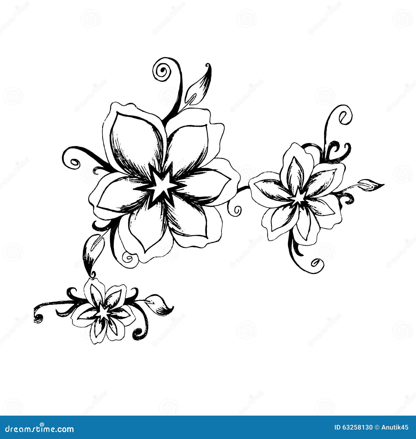 Decorative, Flowers, Sketch, Hand Drawing, Vector, Illustration Stock Vector Illustration of