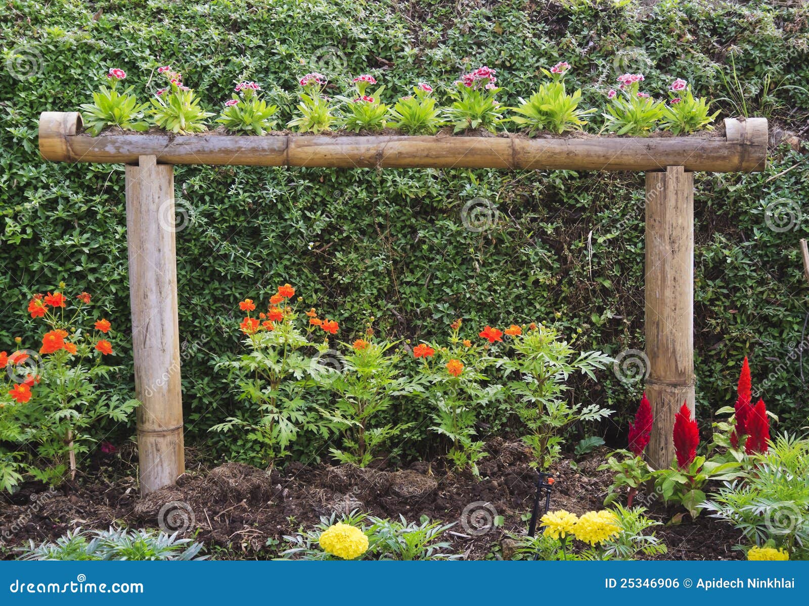 Decorative flowery garden stock photo. Image of mixed 25346906