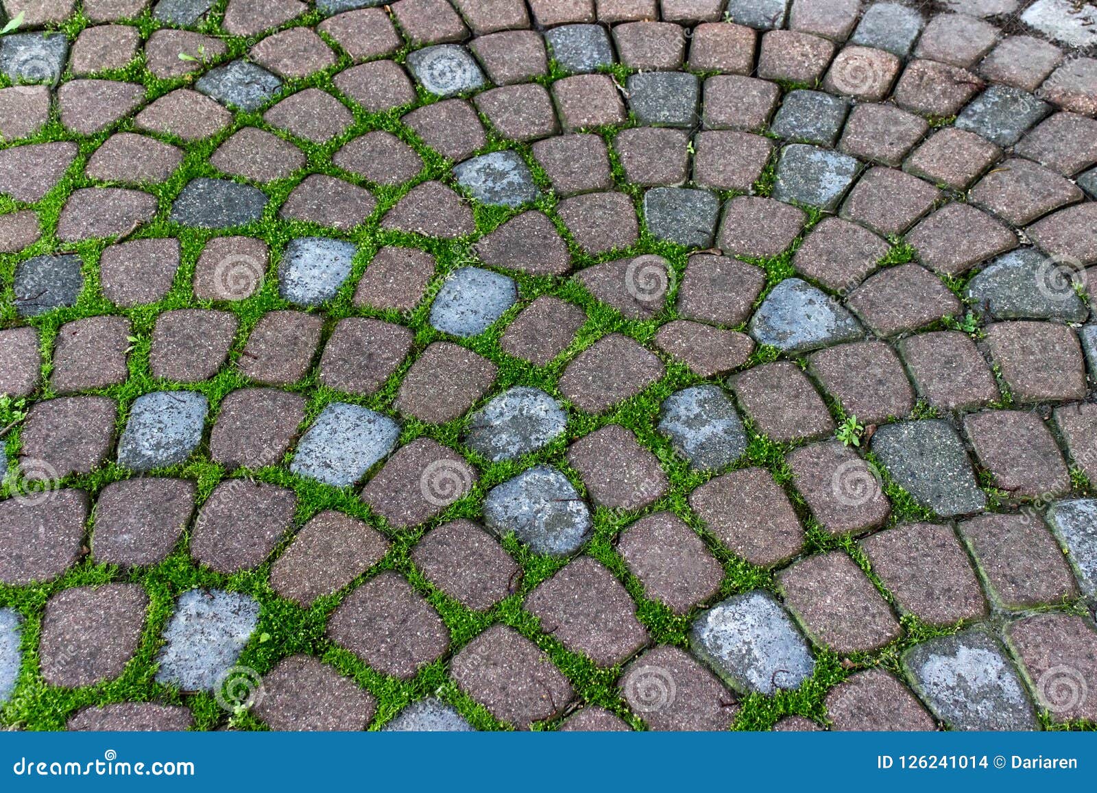 Decorative Garden Stone Pavement With Grooves Filled With Grass