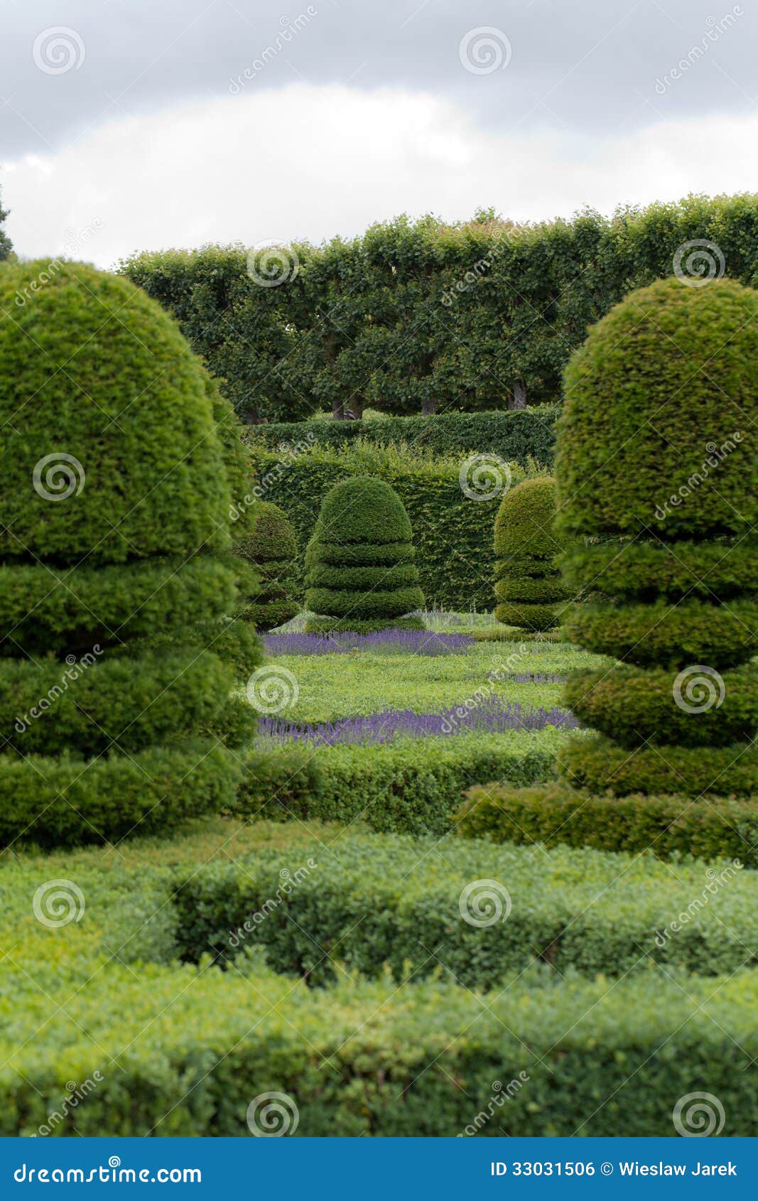 Decorative gardens stock photo. Image of detail, garden 33031506